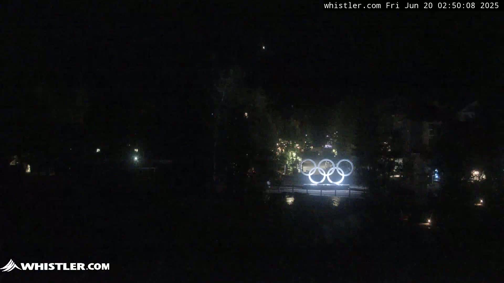 At night, the Olympic rings are illuminated in a dark, tree-lined area.