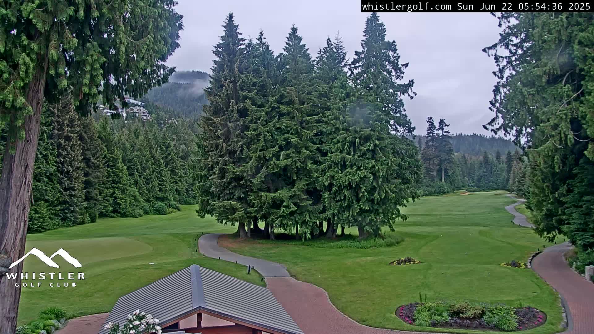 A golf course nestled in a lush evergreen forest on an overcast day.