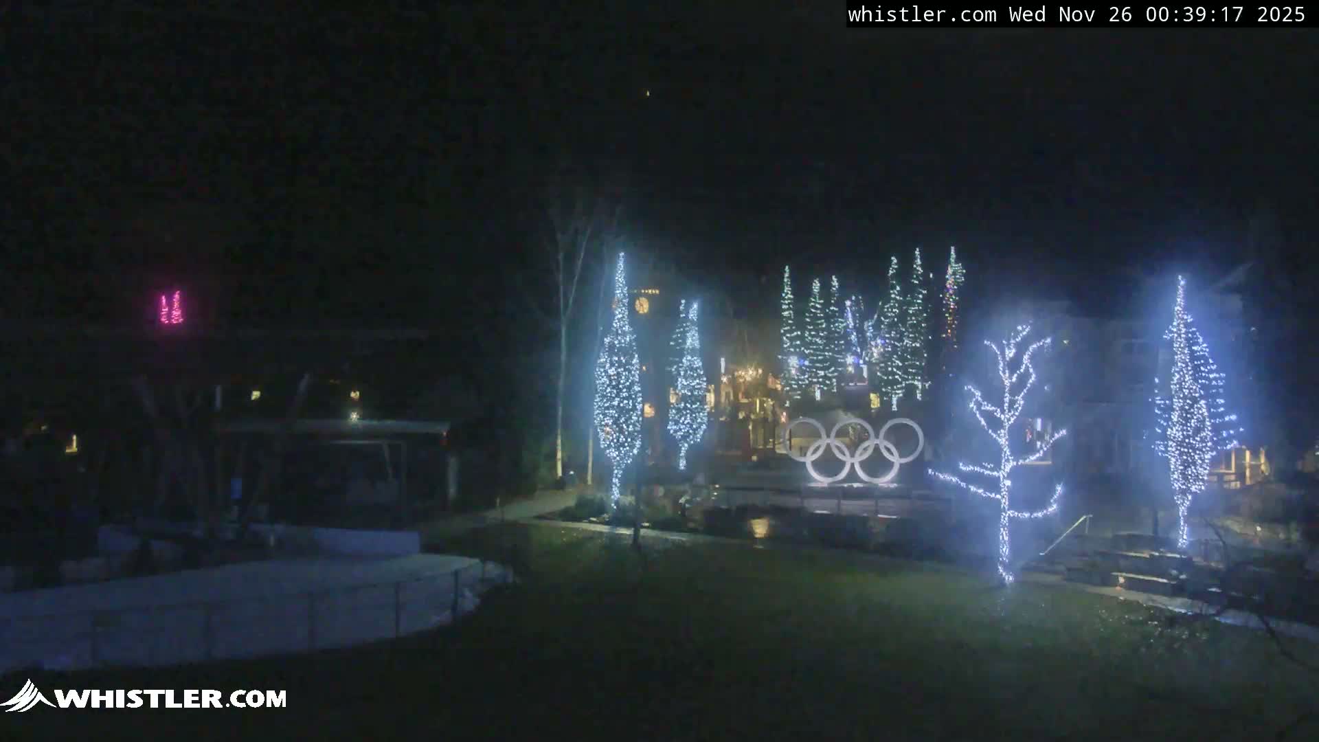 A festive outdoor scene at night features numerous trees and a large Olympic rings sculpture illuminated with bright white lights, set against a clear, dark sky.