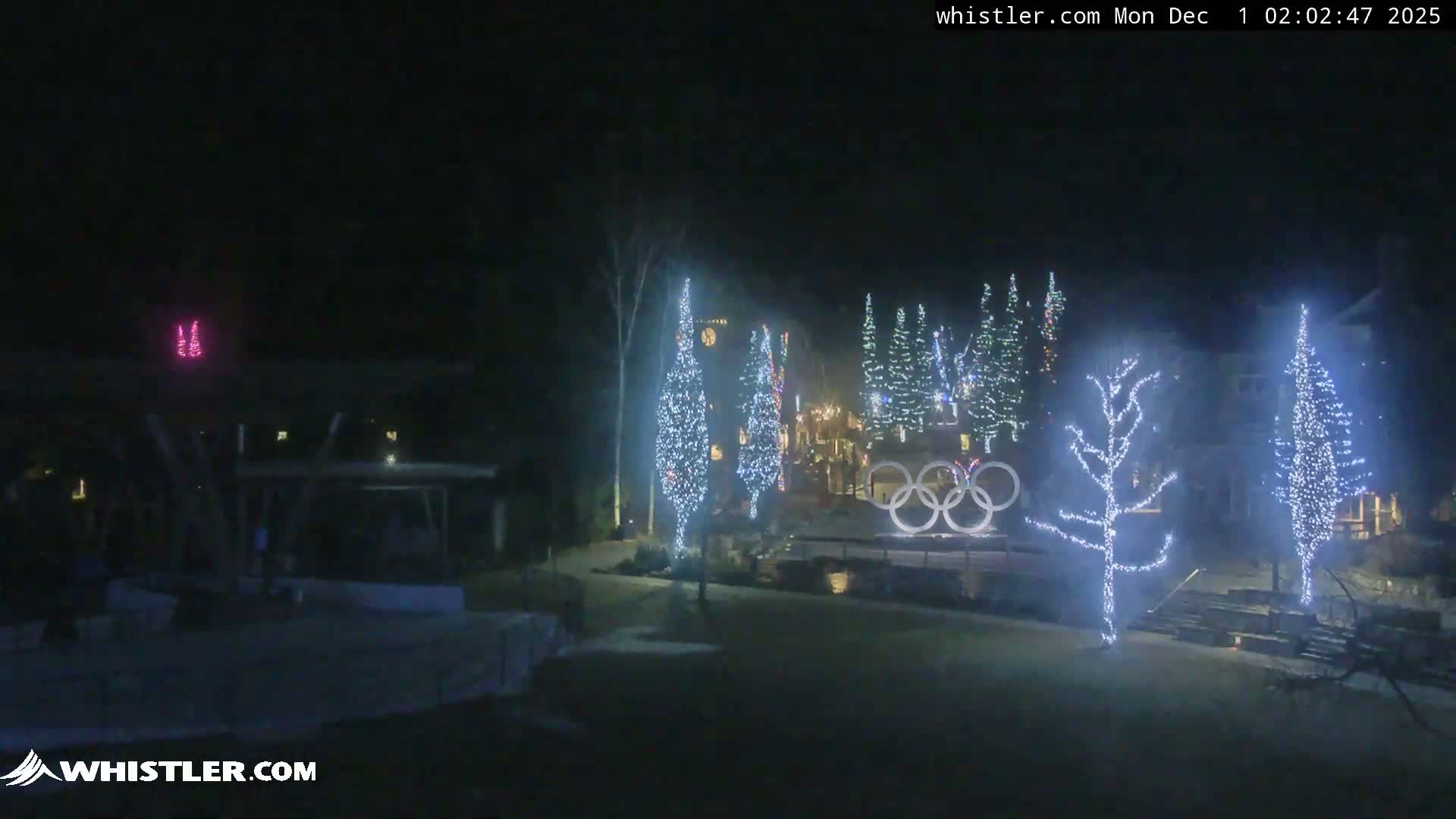 A festive outdoor scene at night features numerous trees brightly illuminated with white string lights, a prominent display of white Olympic rings, and a distinct pink illuminated symbol in the distance, all under a clear, dark sky.