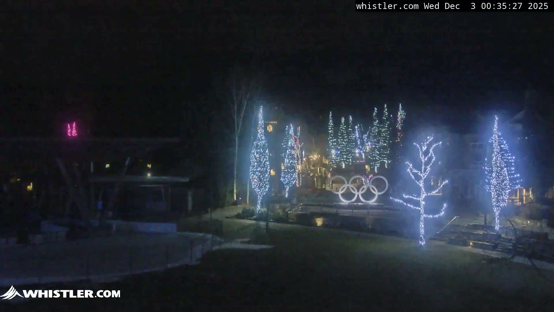 A clear night illuminates an outdoor area decorated with numerous trees and a large Olympic rings monument, all brightly lit with white string lights.