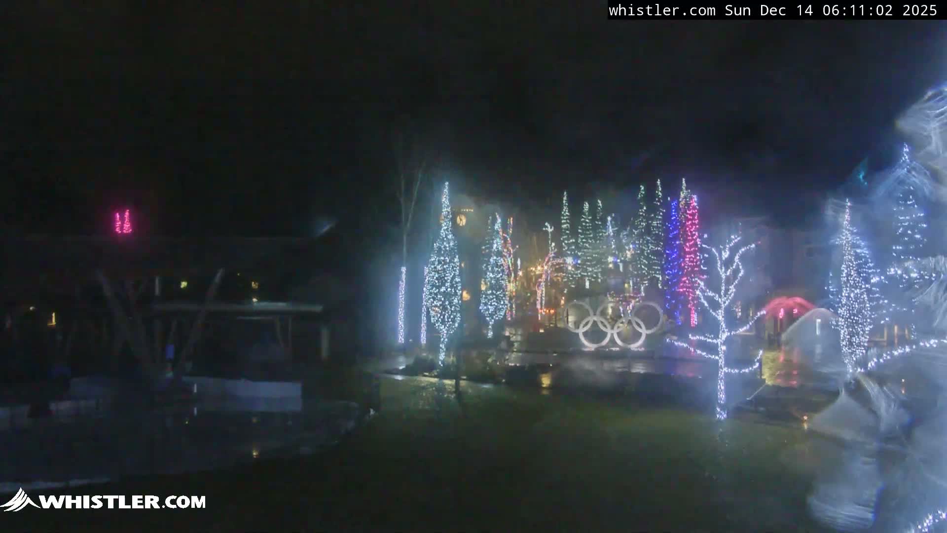 A clear night illuminates an outdoor area decorated with numerous trees and a large Olympic rings monument, all brightly lit with white string lights.