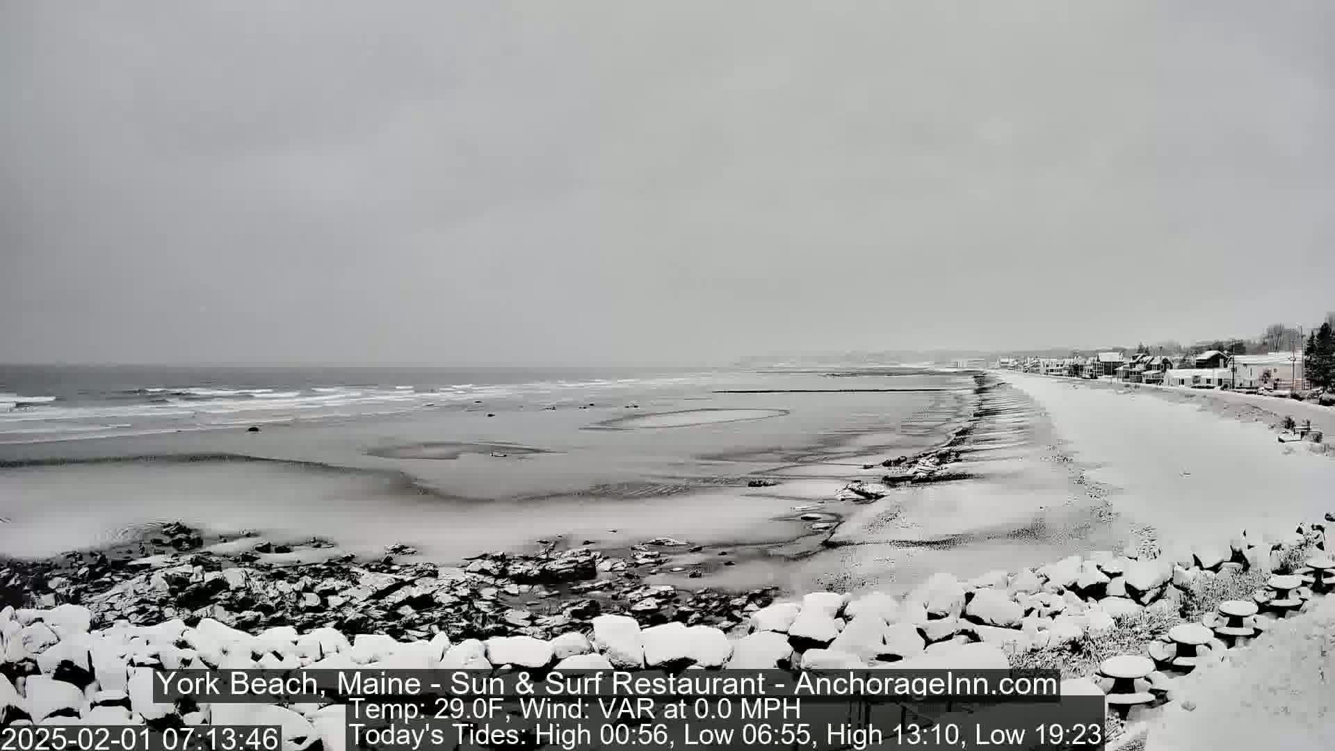 A snow-covered beach with a calm ocean and a line of houses in the distance under an overcast sky.