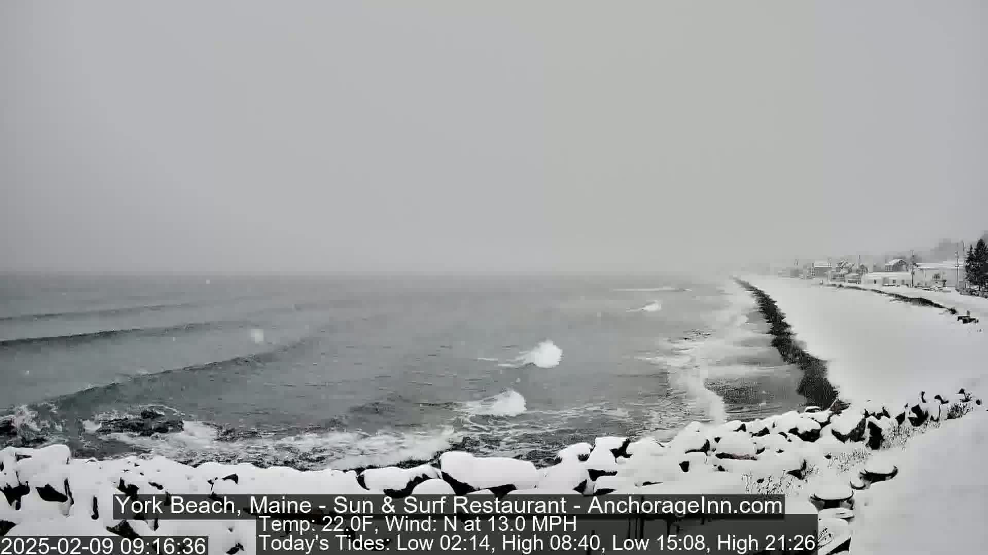 A snow-covered beach with ocean waves rolling onto a rocky shore during a snowfall.