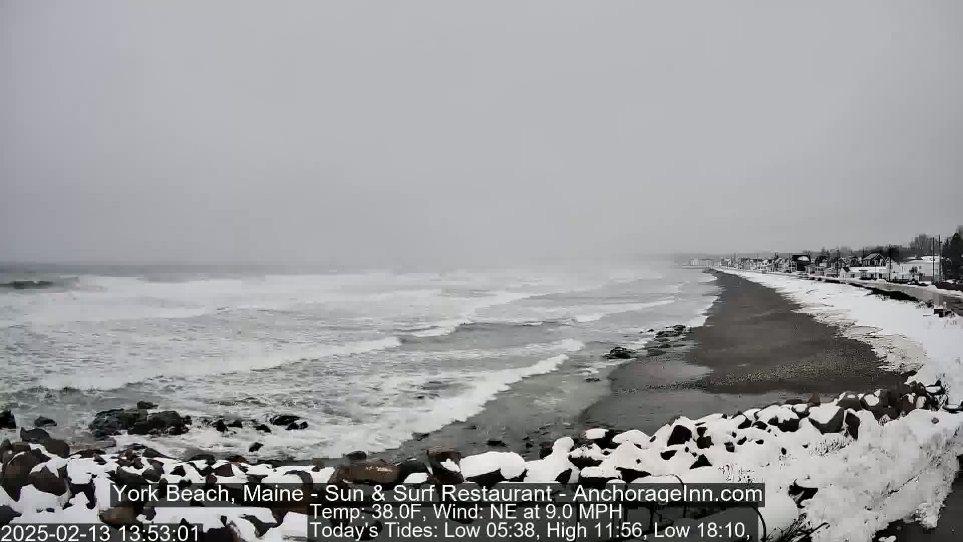 A snow-covered beach with gray, choppy waves rolls onto the shore under an overcast sky.