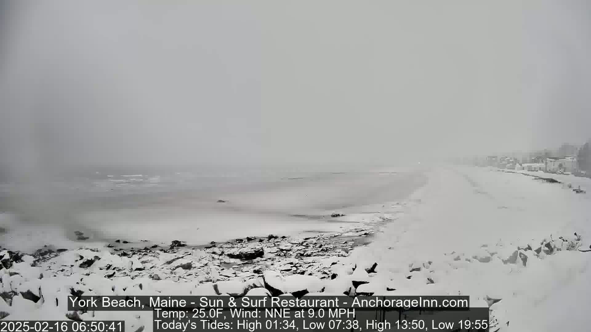 A snow-covered rocky beach and ocean are visible in a hazy, snowy scene.