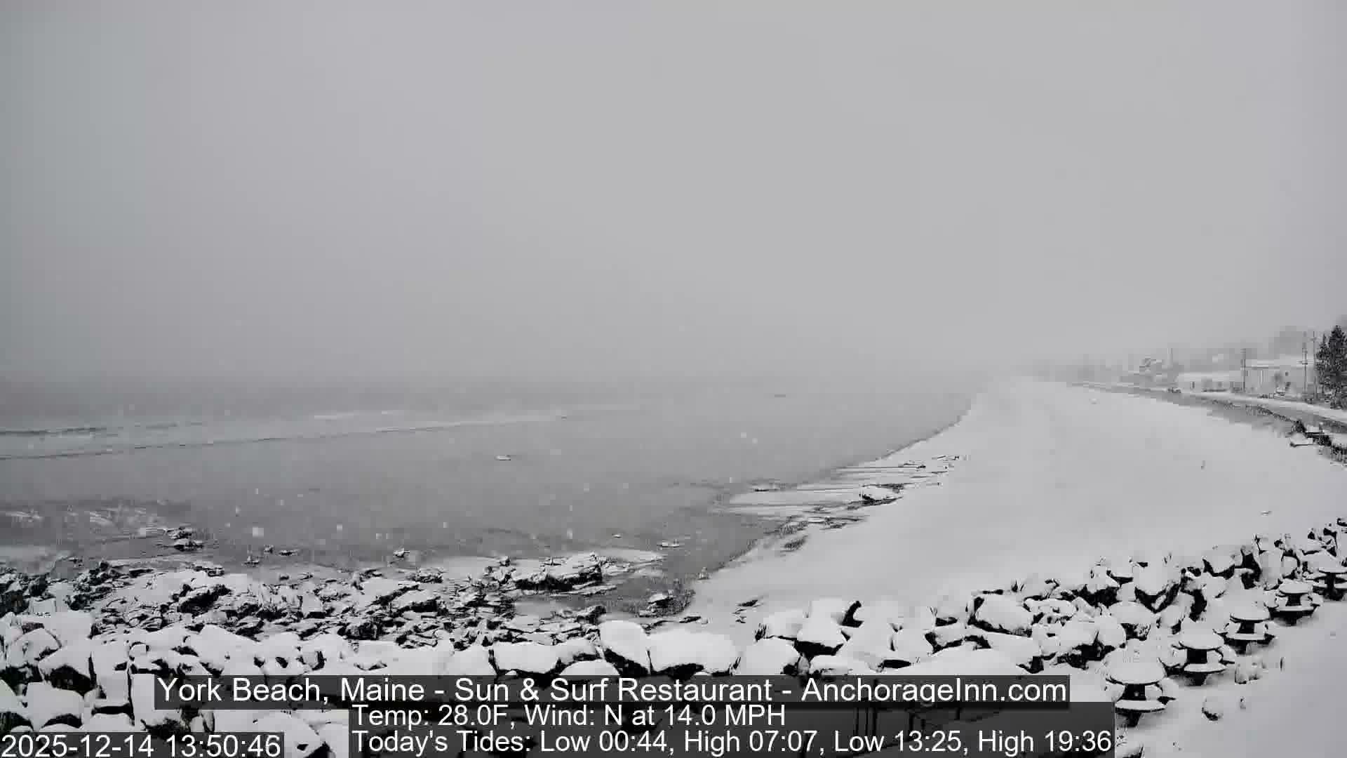 A dark, cloudy night scene captures a rocky beach with gentle waves and distant lights from buildings lining the shore.