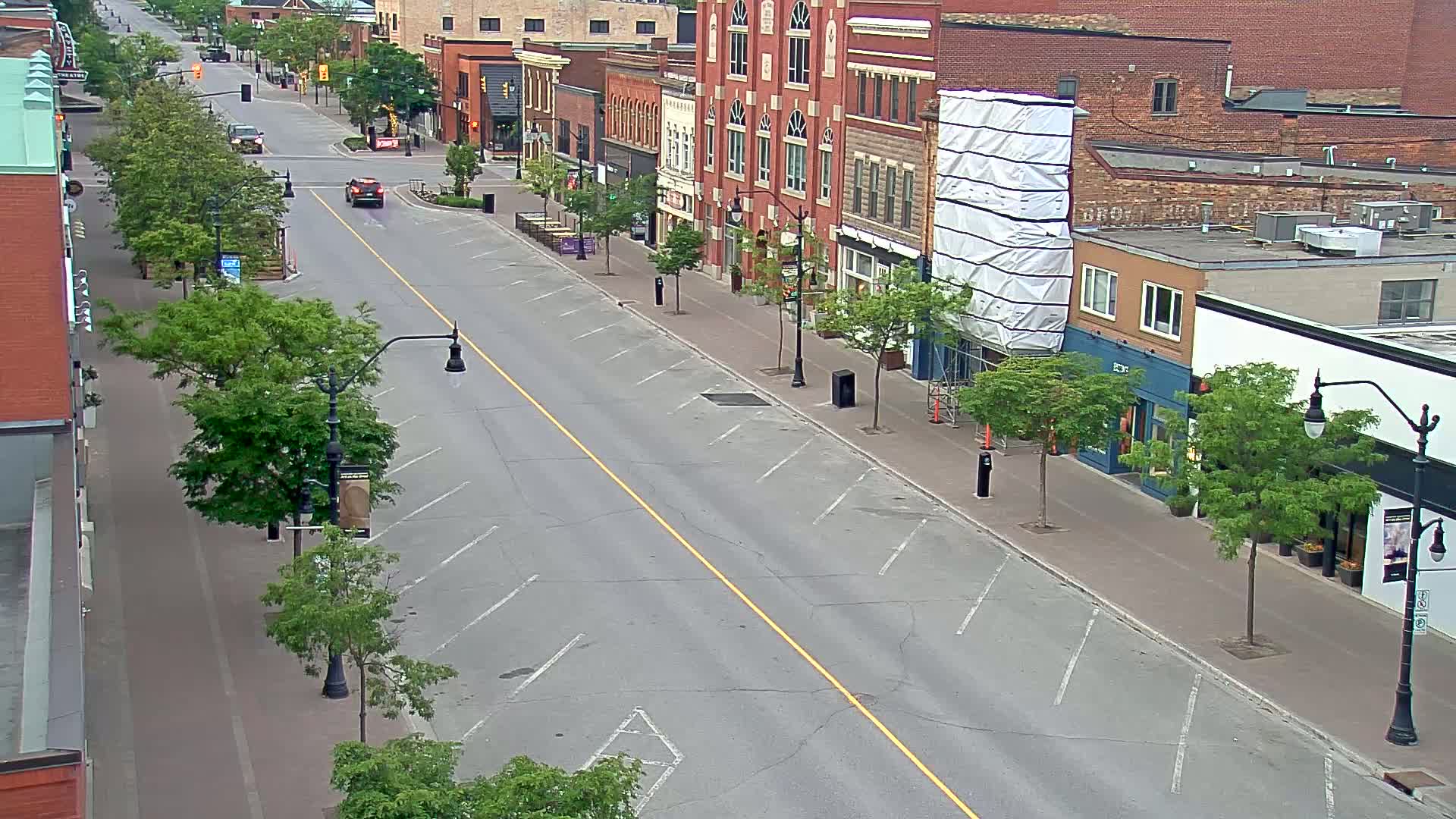 A mostly empty street lined with brick buildings and young green trees on a sunny day.
