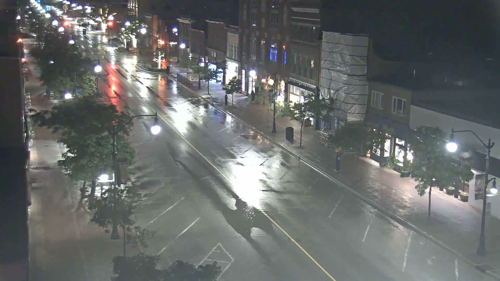 A rain-slicked street at night, lined with buildings and trees, is sparsely populated with cars under streetlights.