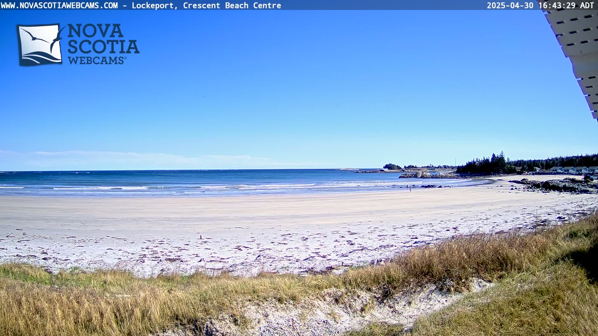 A sandy beach with small waves under a clear blue sky stretches to a rocky shoreline dotted with trees and a few buildings.