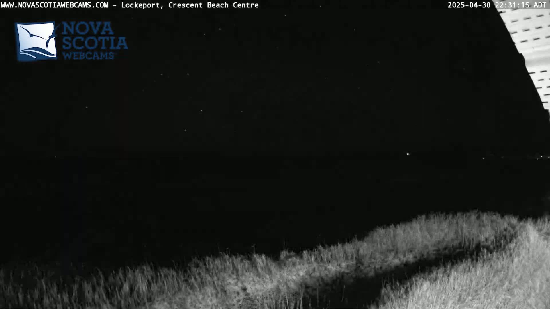 A nighttime view of grassy dunes under a clear, starry sky.