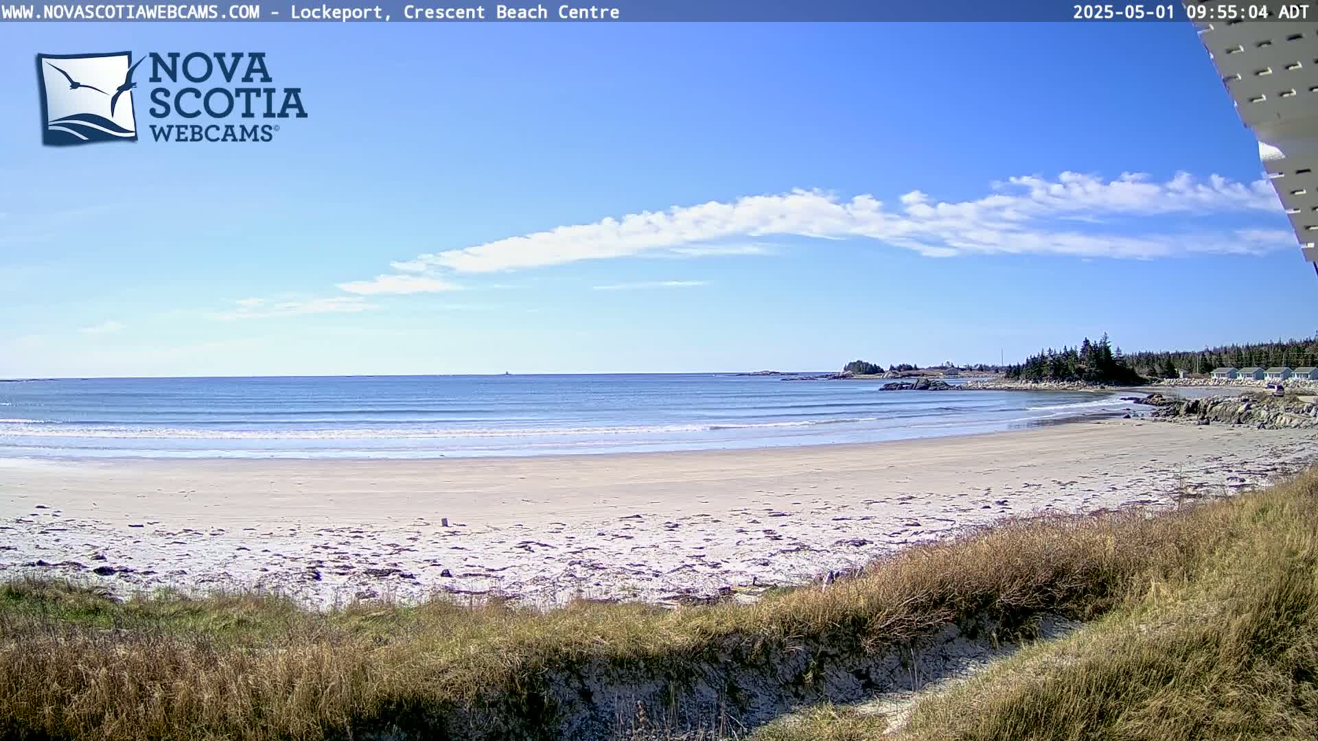 A sandy beach with gentle waves and a partly cloudy blue sky is viewed from behind dune grasses.