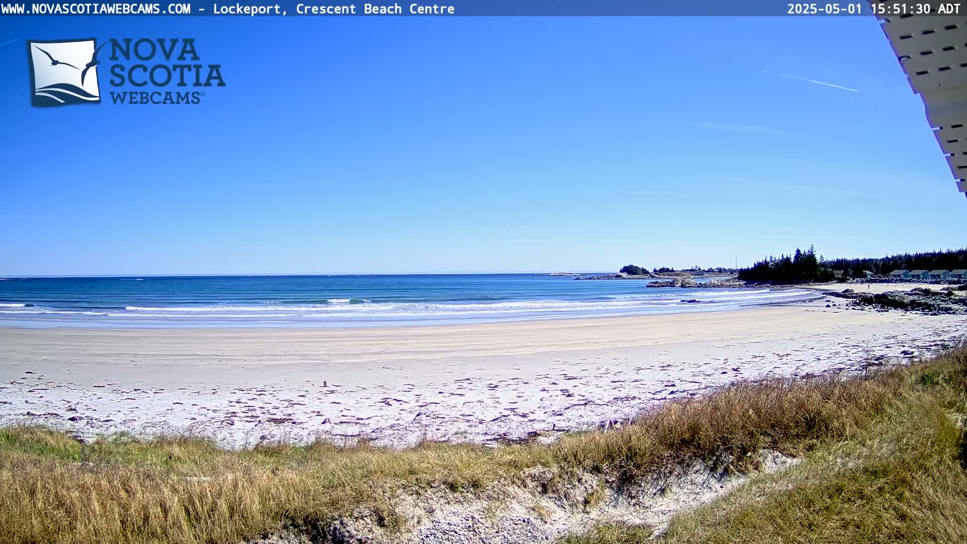 A sandy beach with small waves under a clear blue sky is seen from a dune covered in tan grass.