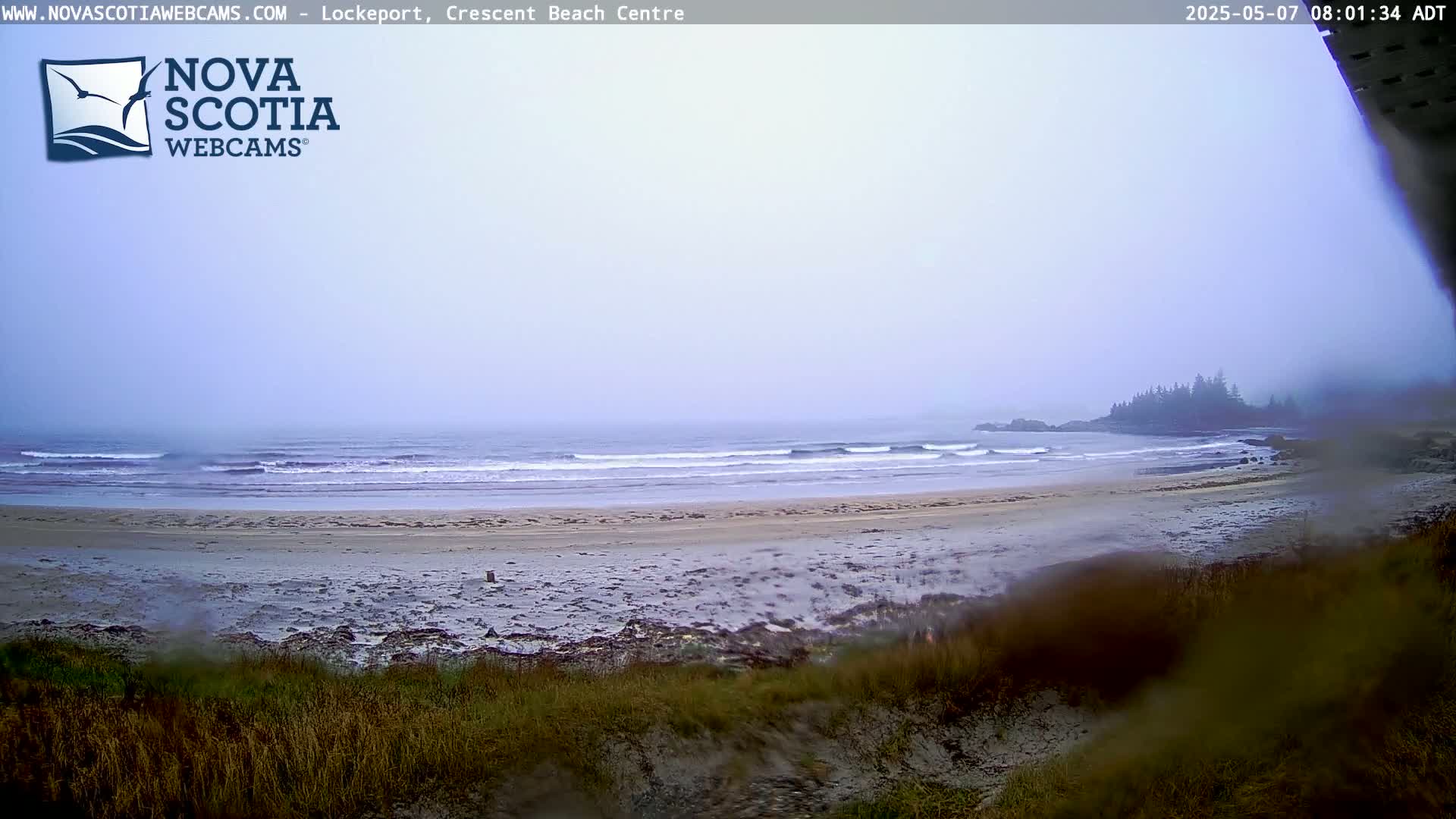 A misty, overcast day at a sandy beach with gentle waves rolling onto the shore, a line of dark trees visible in the distance.