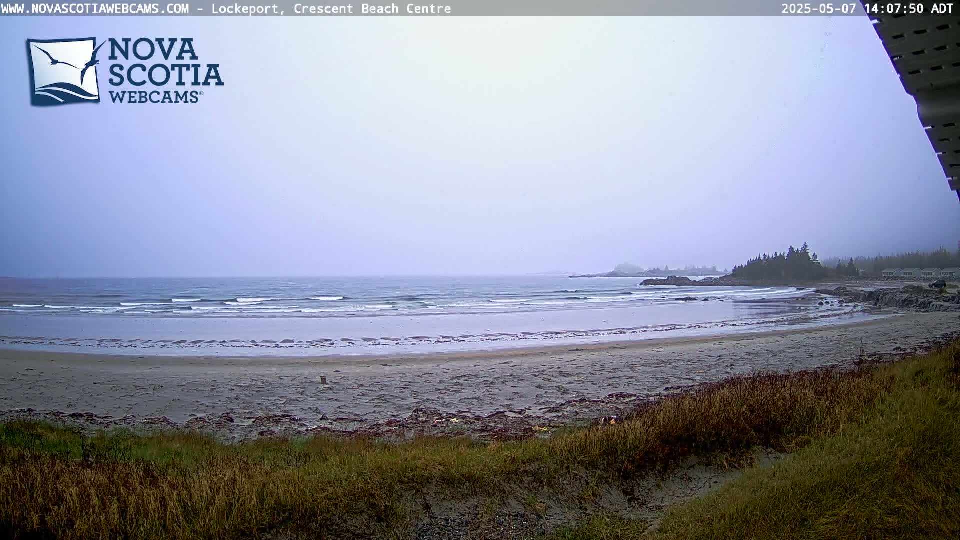 A hazy, overcast day reveals a wide sandy beach with gentle waves lapping the shore, backed by a line of trees and a few buildings.