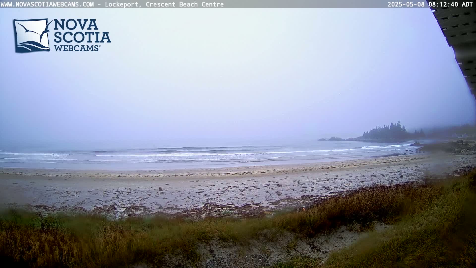 A hazy, overcast day reveals a sandy beach with gentle waves lapping the shore,  backed by sparse vegetation and a distant, tree-lined headland.