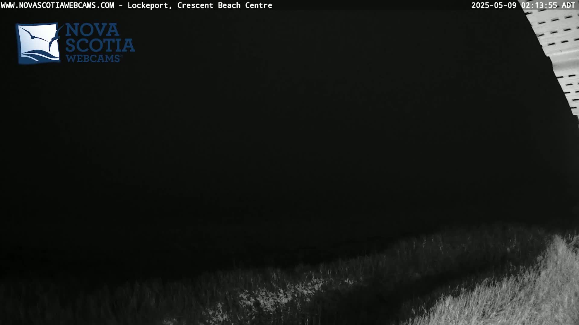 A nighttime view shows dark vegetation in the bottom of the frame against an almost completely black sky.
