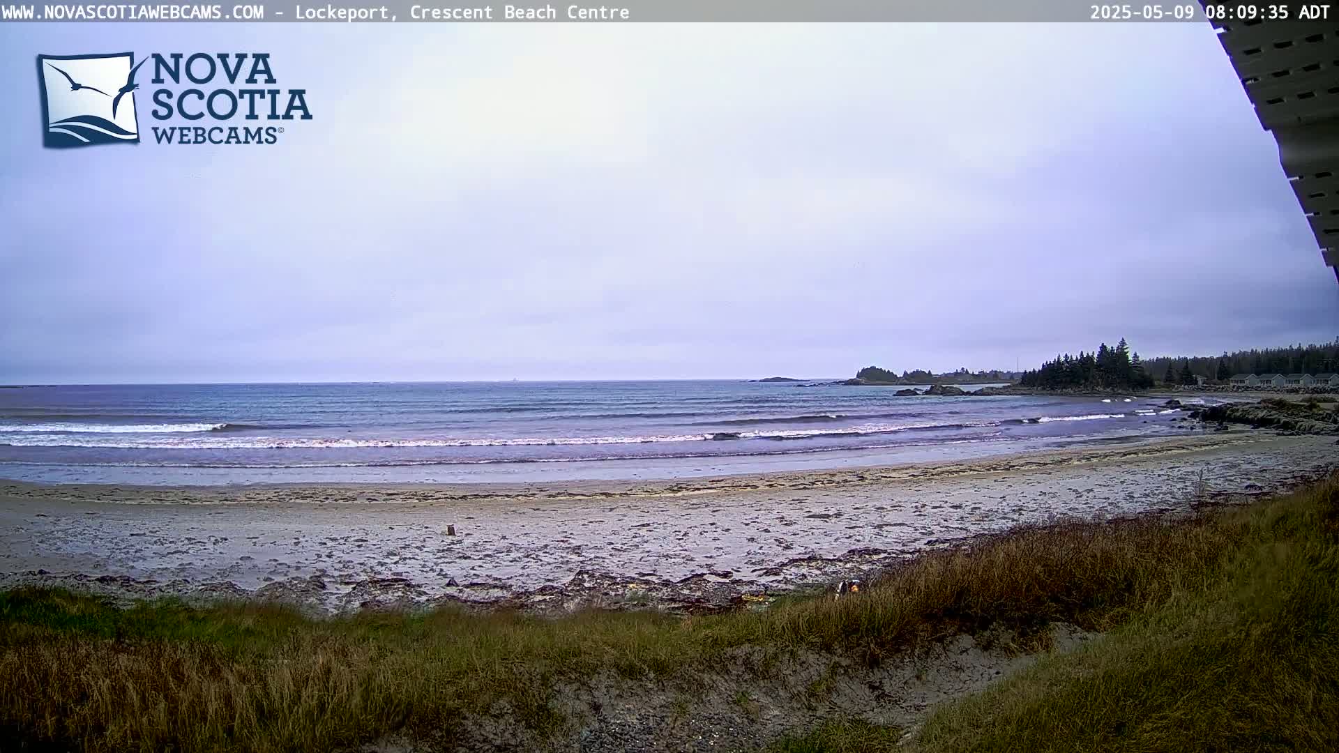 A sandy beach with gentle waves under an overcast sky is seen from behind vegetation.