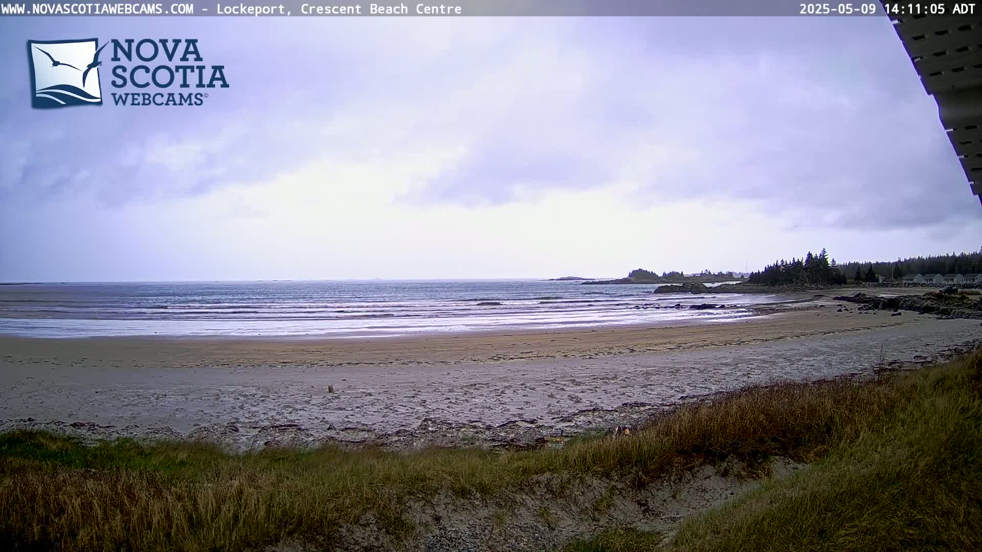 A sandy beach stretches to a calm ocean under an overcast sky, with a line of trees and buildings visible in the distance.