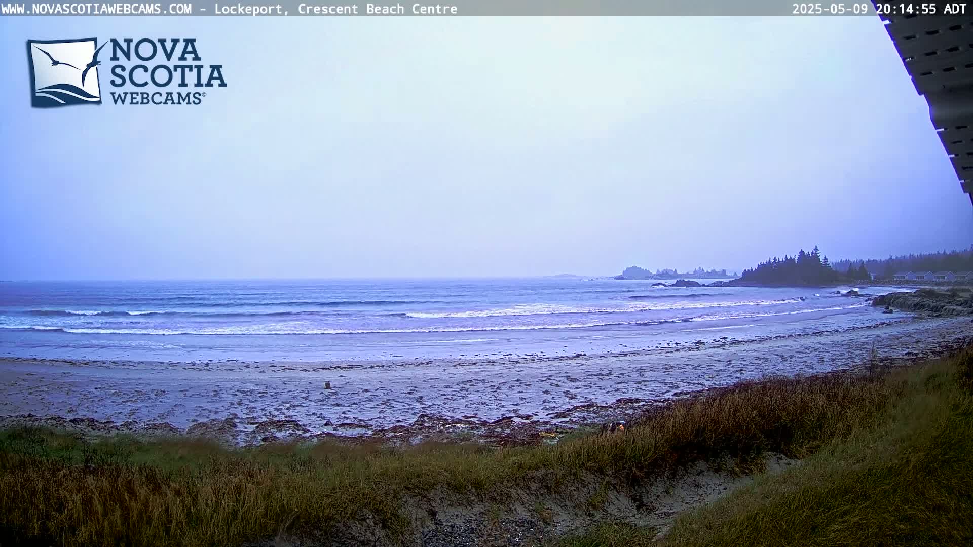 An overcast day shows a sandy beach with small waves lapping the shore, backed by a line of dark trees and a hazy horizon.