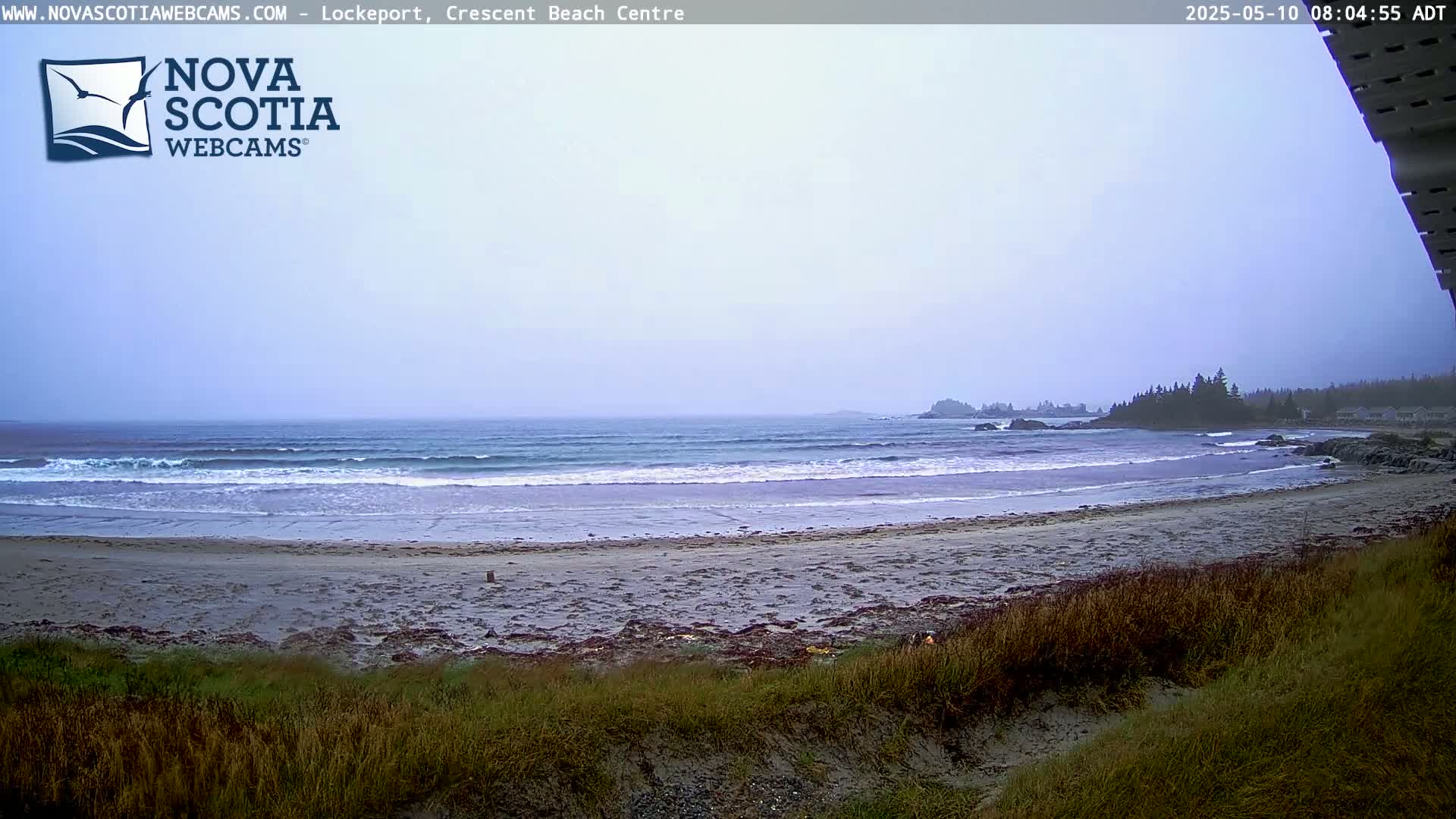 A sandy beach with small waves on a gray, overcast day, and a line of trees visible in the distance.