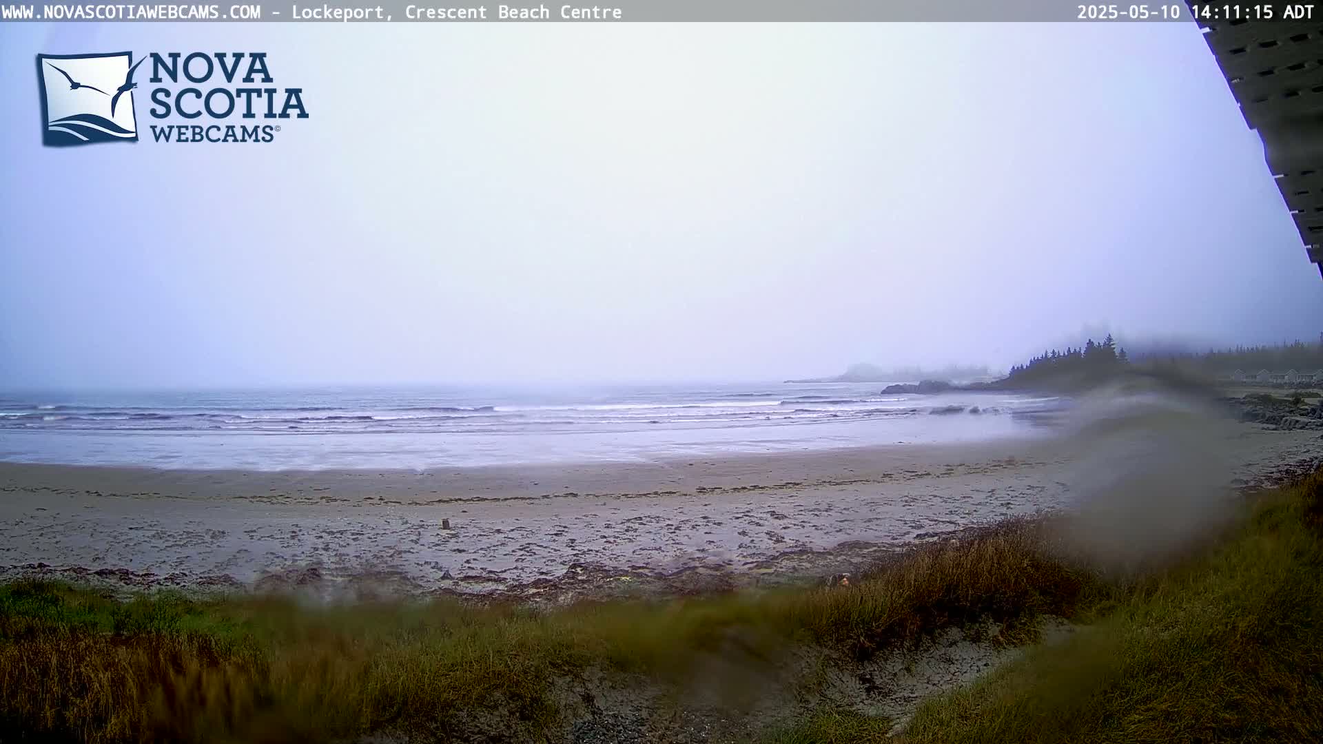 A foggy, overcast day reveals a beach with gentle waves lapping the shore, backed by a line of trees and a rocky outcrop.
