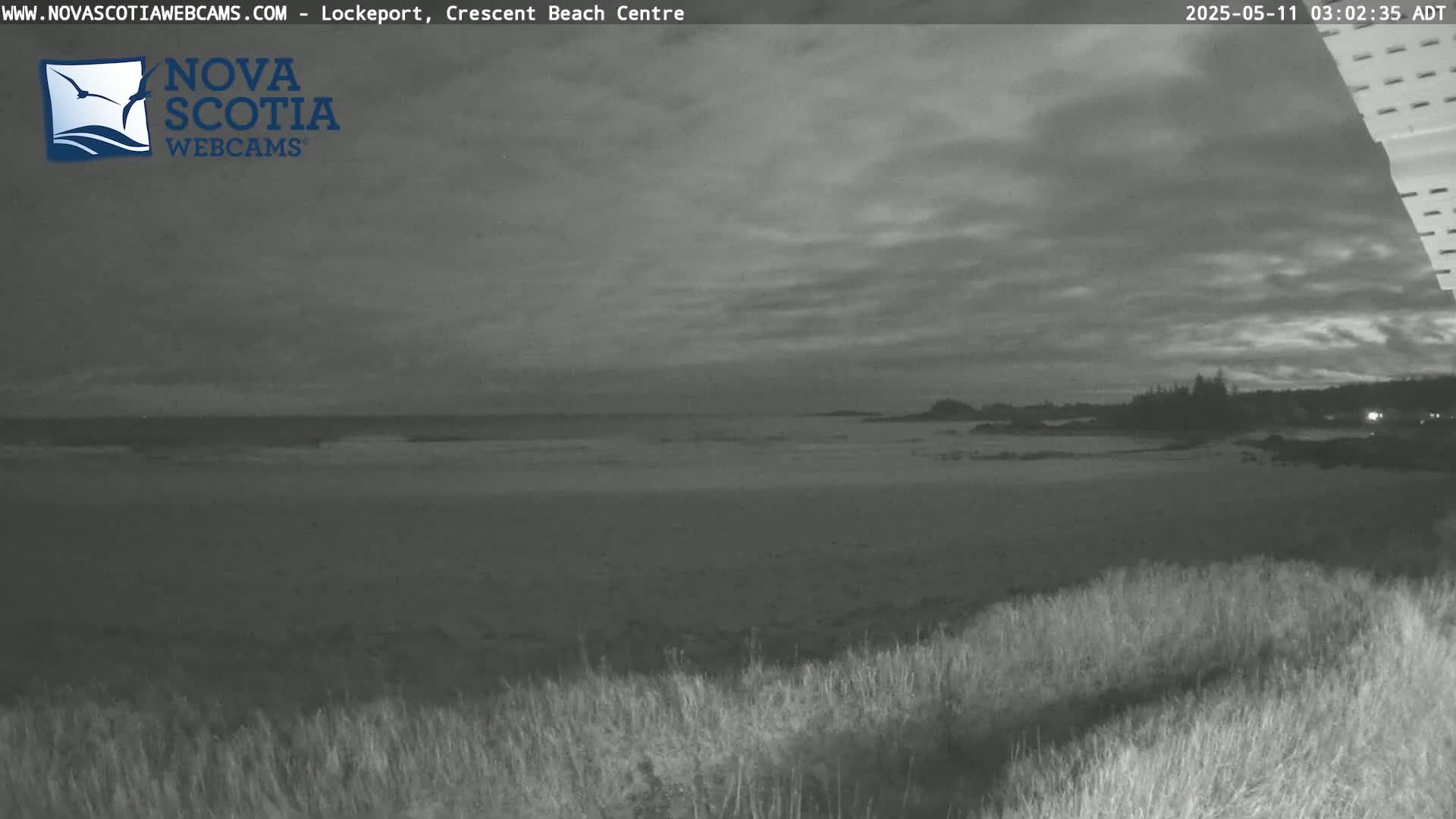 A dark, overcast sky hangs over a beach at night, with calm water and grassy dunes in the foreground.