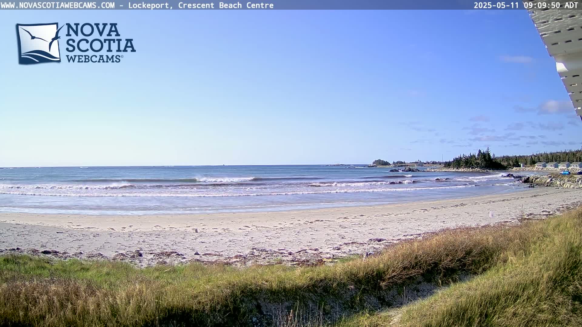 A sandy beach with small waves and a clear blue sky is seen from behind tall grass.