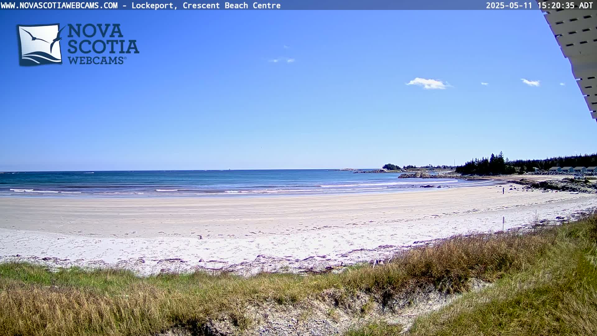 A sandy beach with calm ocean waves under a mostly clear blue sky is viewed from behind a grassy dune.