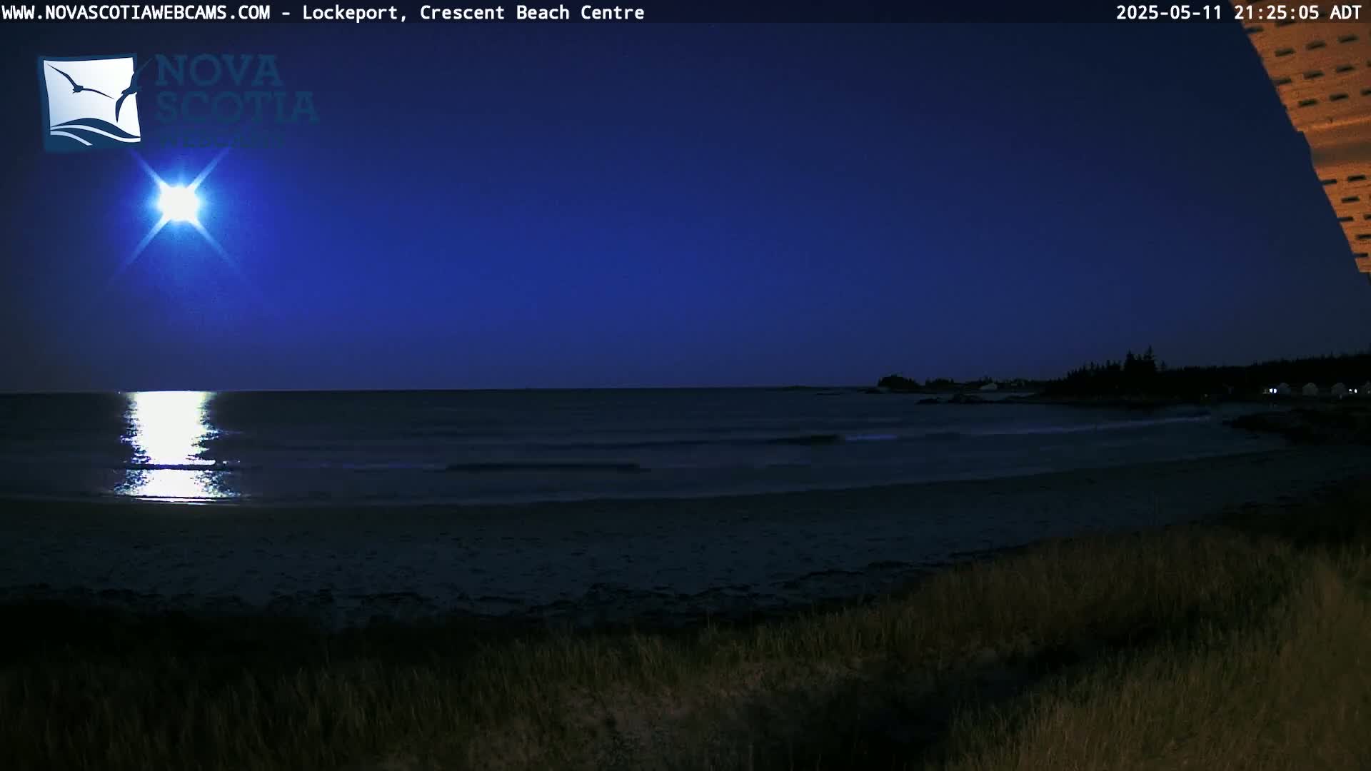 A bright moon illuminates a dark beach and calm ocean at night.