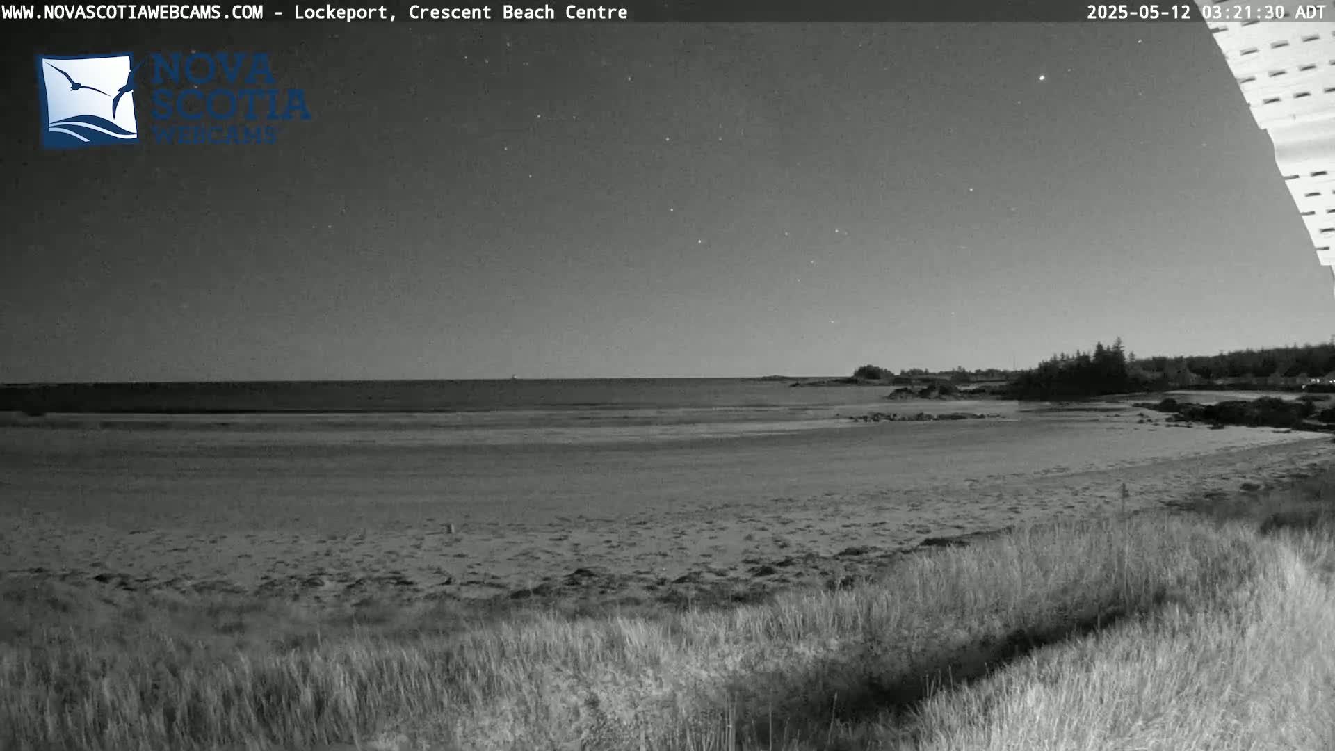 A dark, nighttime beach scene shows a calm ocean, sandy shore, and vegetation in the foreground under a starry sky.