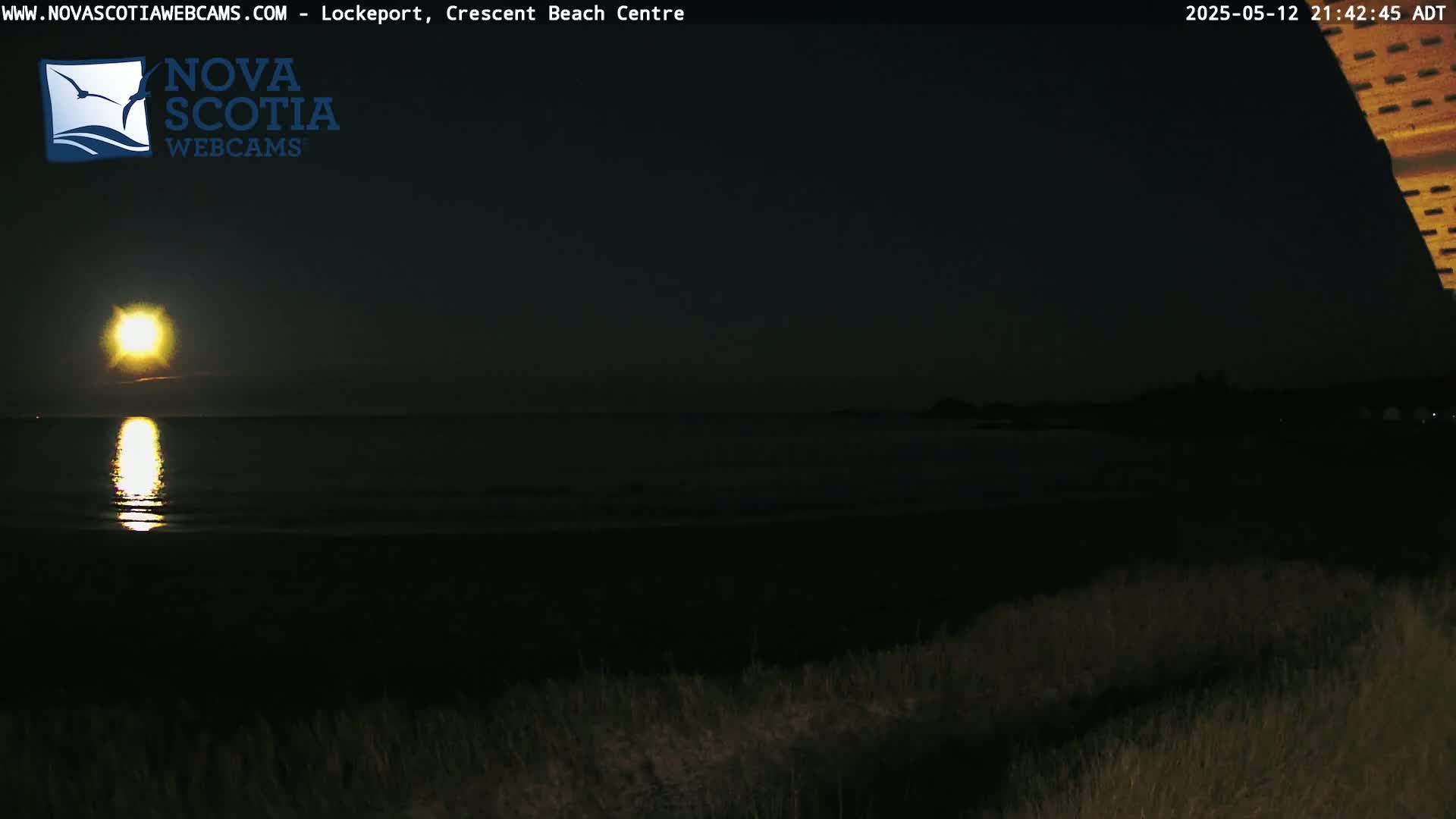 A bright moon illuminates a dark beach and calm ocean at night.