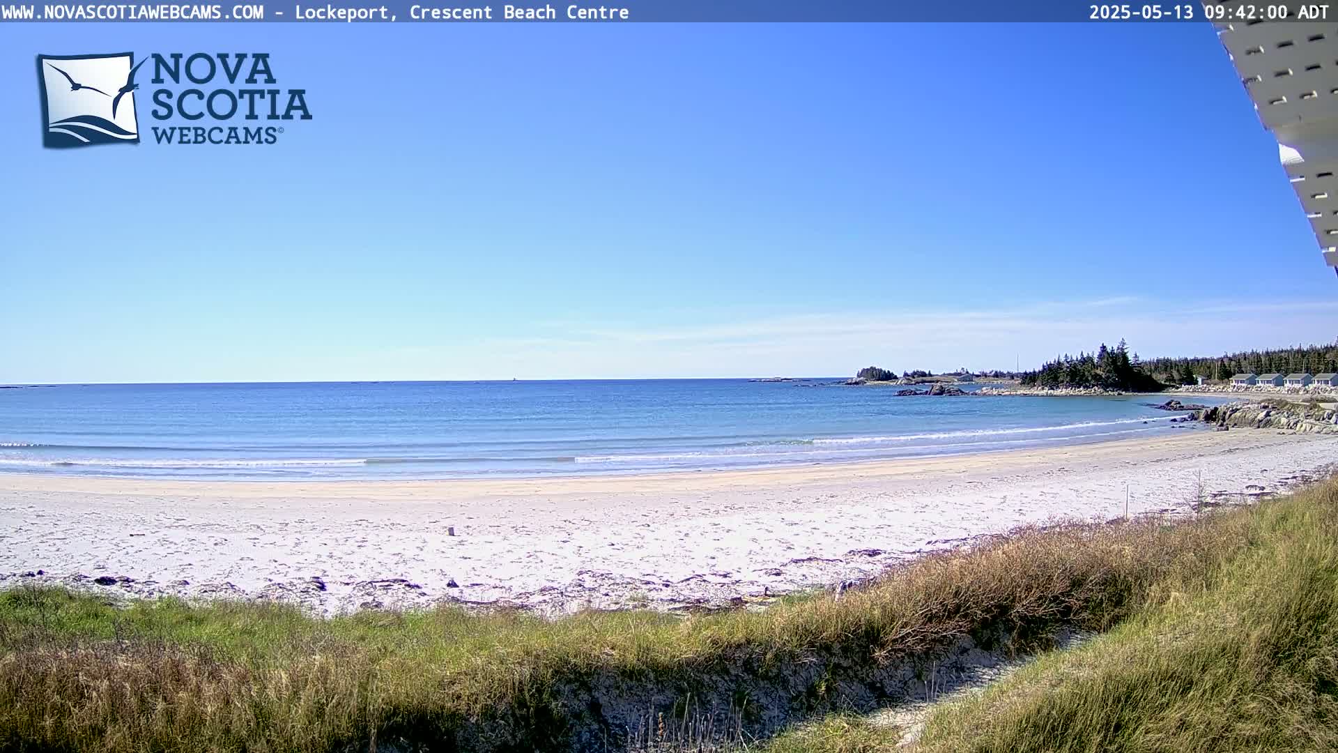 A sandy beach with small waves under a clear blue sky is seen from behind a grassy dune, with a rocky shoreline and distant trees visible in the background.