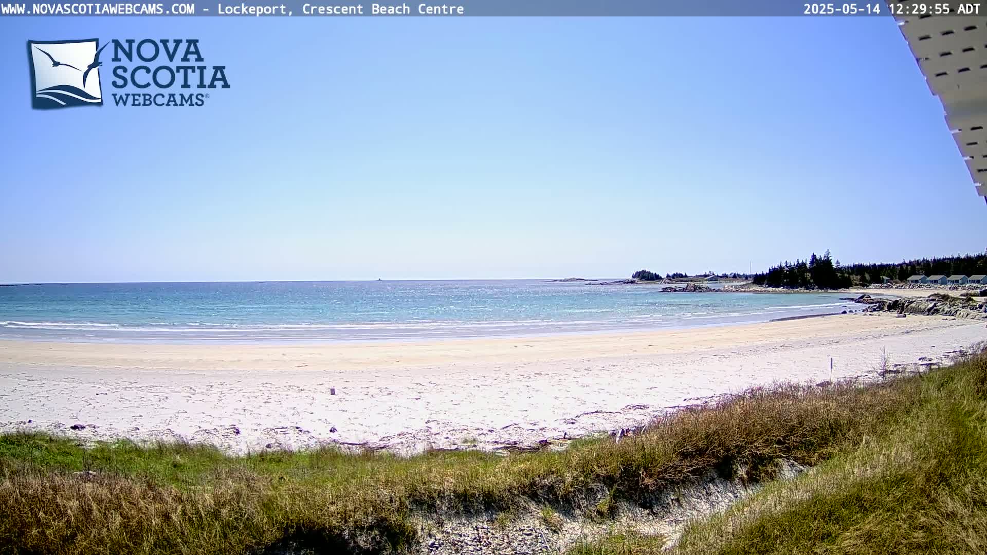 A sandy beach with calm, light-blue water stretches under a clear blue sky.