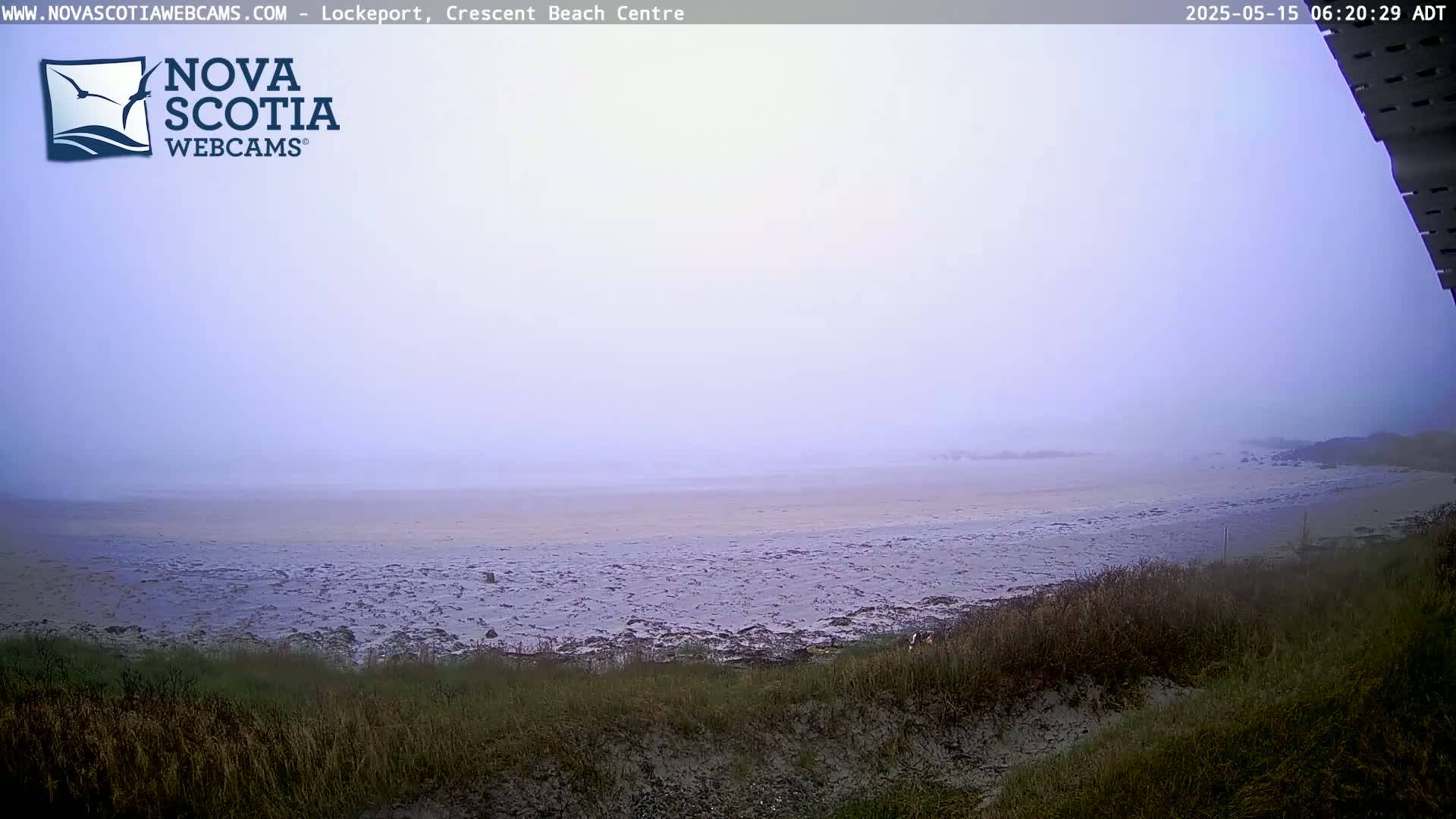 A foggy beach scene is visible, with a sandy shore and low-lying vegetation in the foreground.
