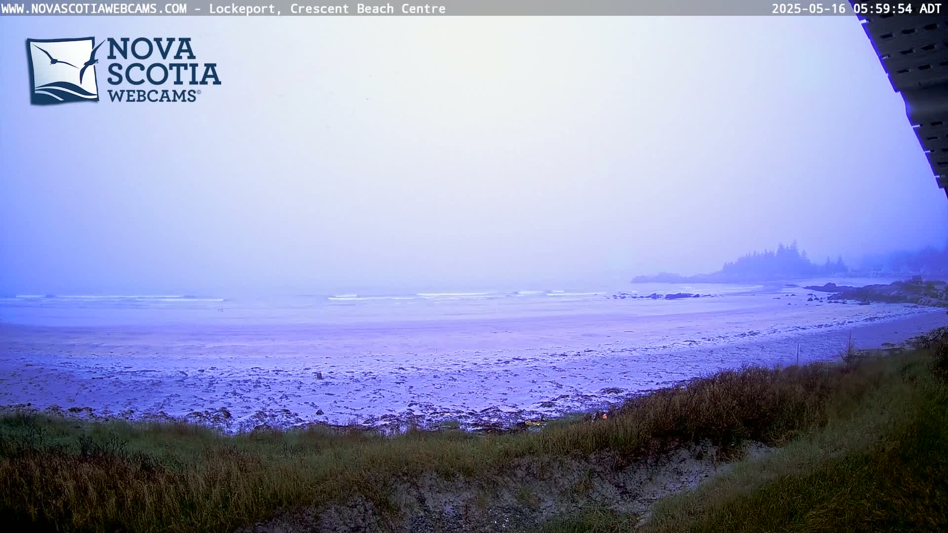 A hazy, overcast day reveals a wide sandy beach meeting a calm ocean, with vegetation in the foreground.