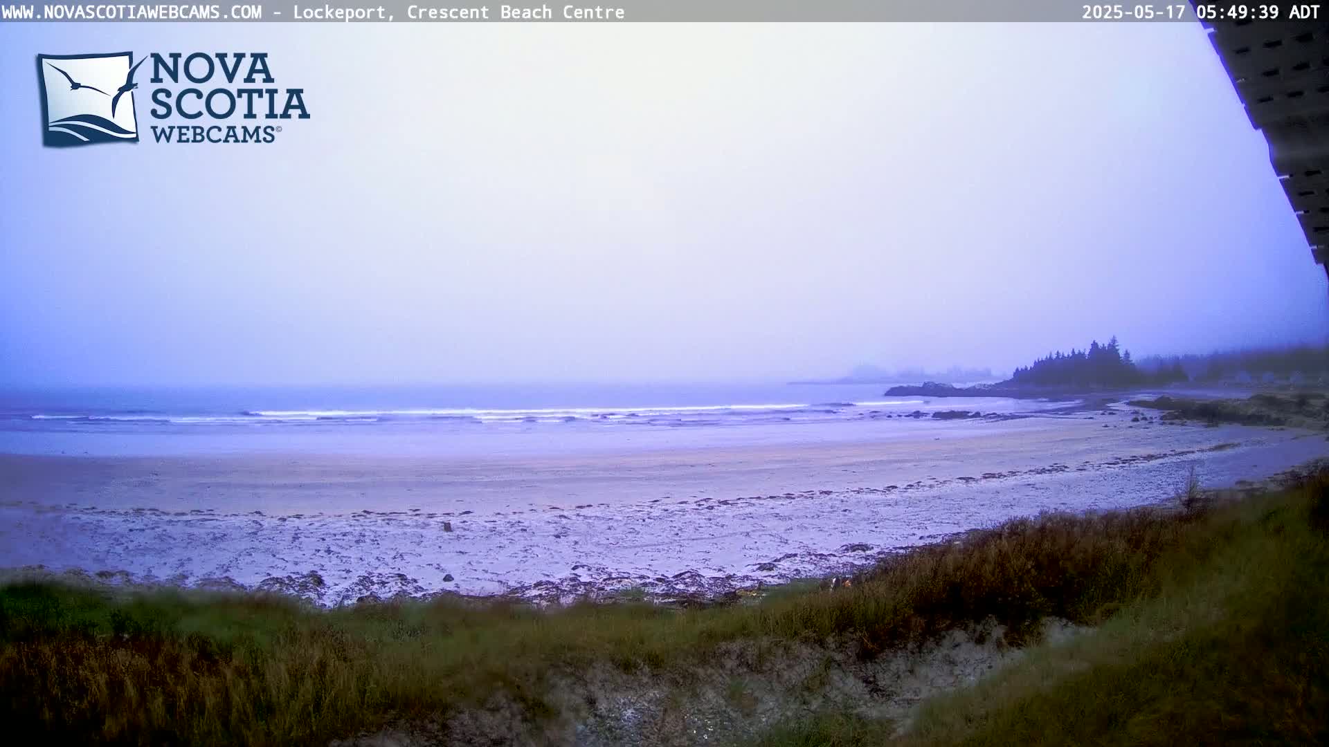 A hazy, overcast day reveals a sandy beach with gentle waves lapping the shore, backed by a line of dark trees.