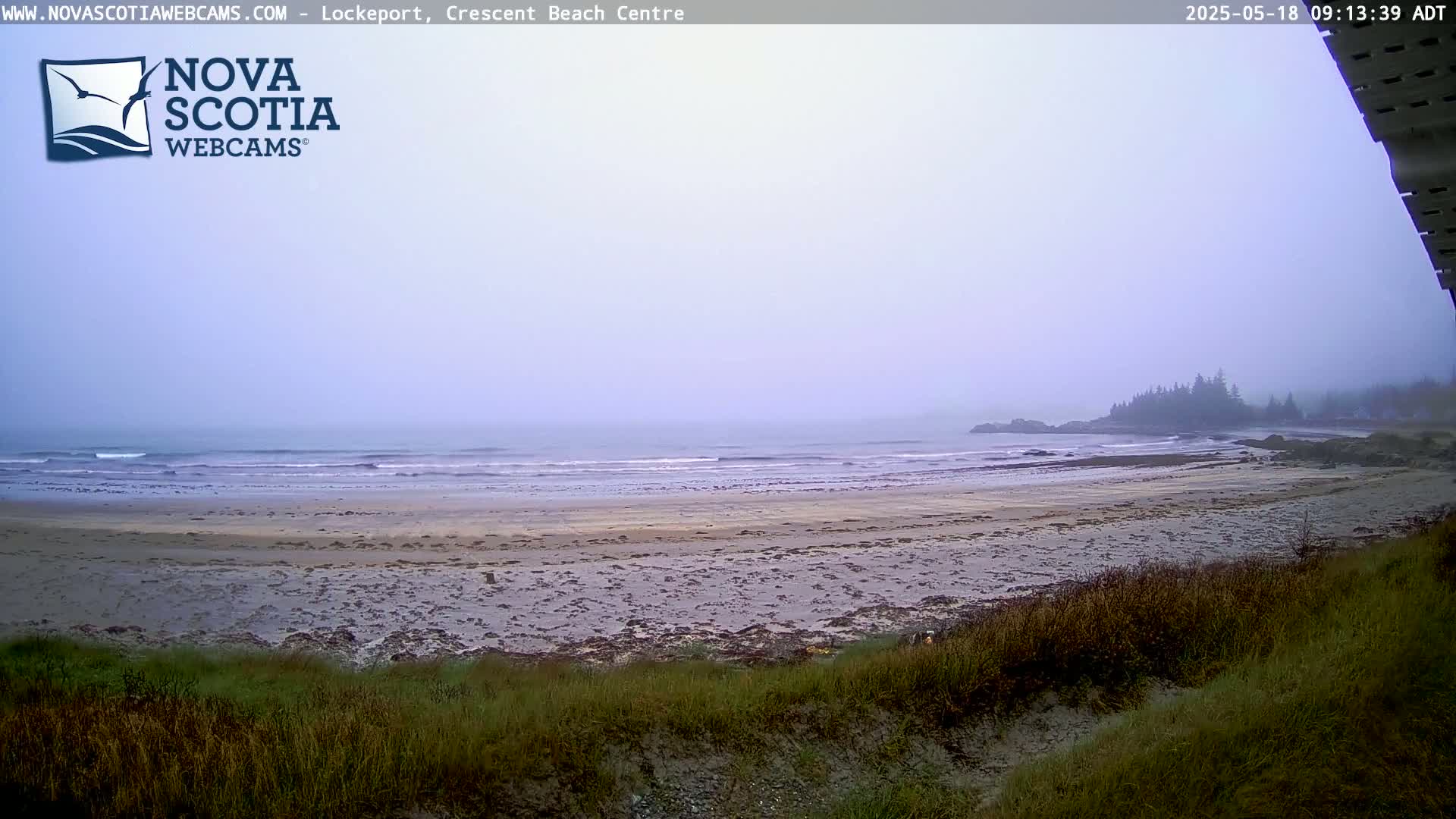 A foggy, overcast day reveals a wide sandy beach meeting a calm ocean with small waves, backed by a line of dark green vegetation.