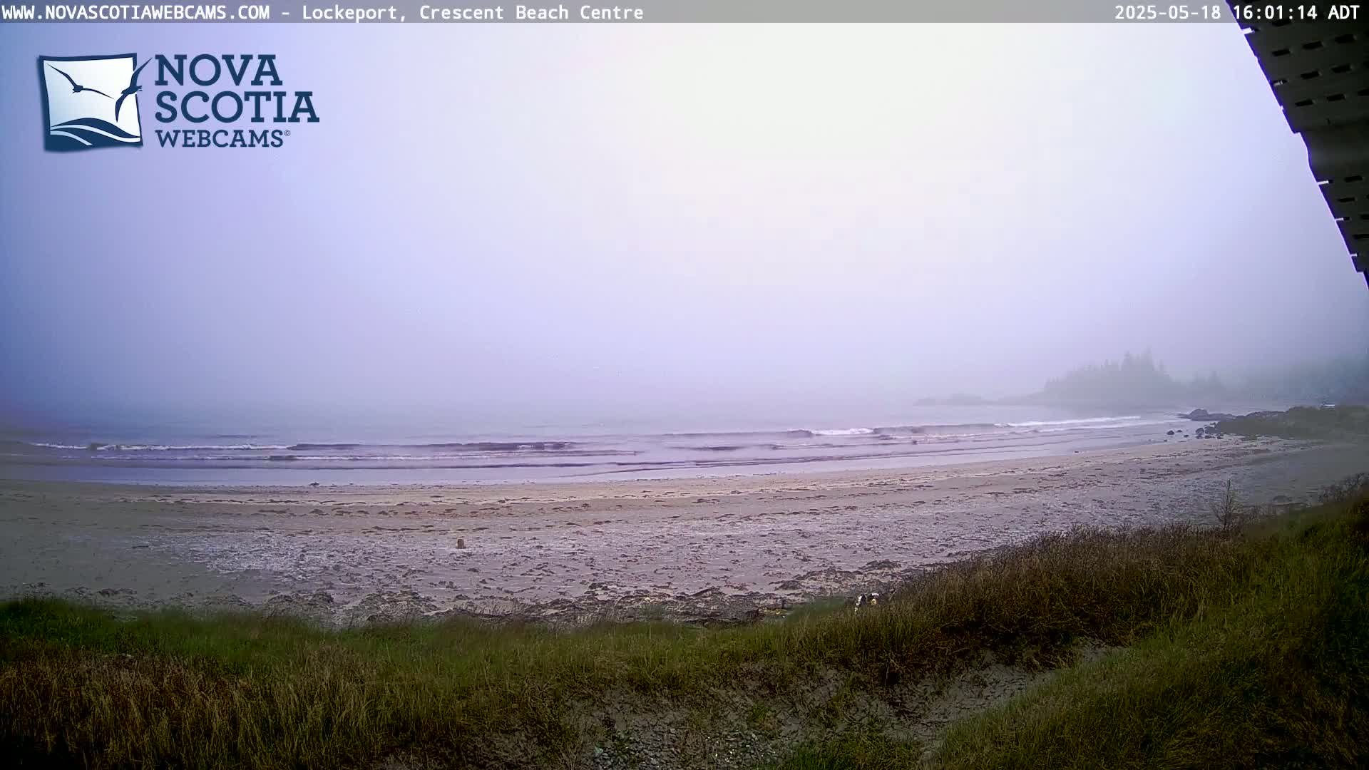 A foggy view shows a sandy beach with gentle waves rolling onto the shore, backed by low-lying vegetation and distant trees.