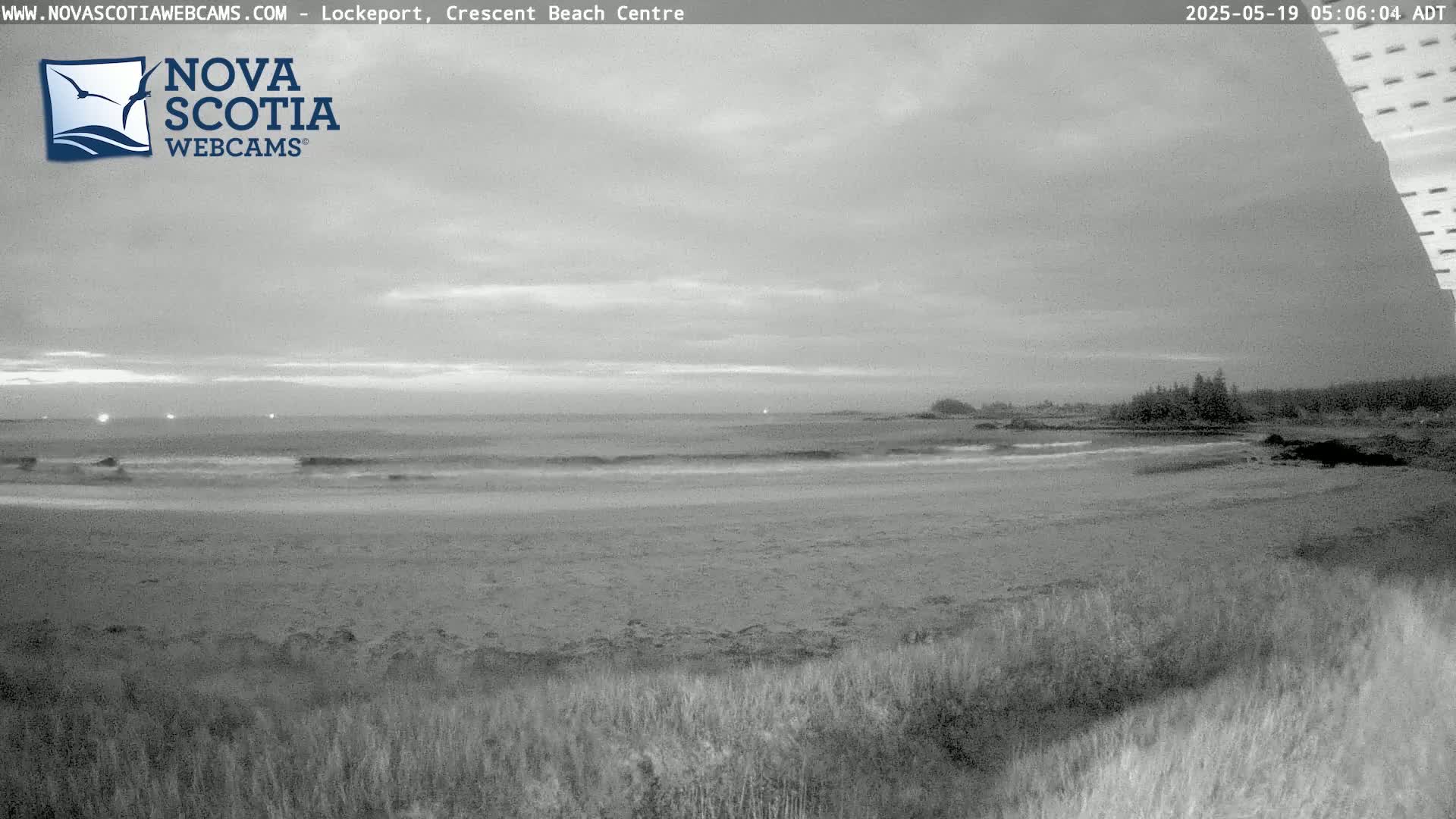 A grayscale image shows a beach with gentle waves lapping the shore under an overcast sky.