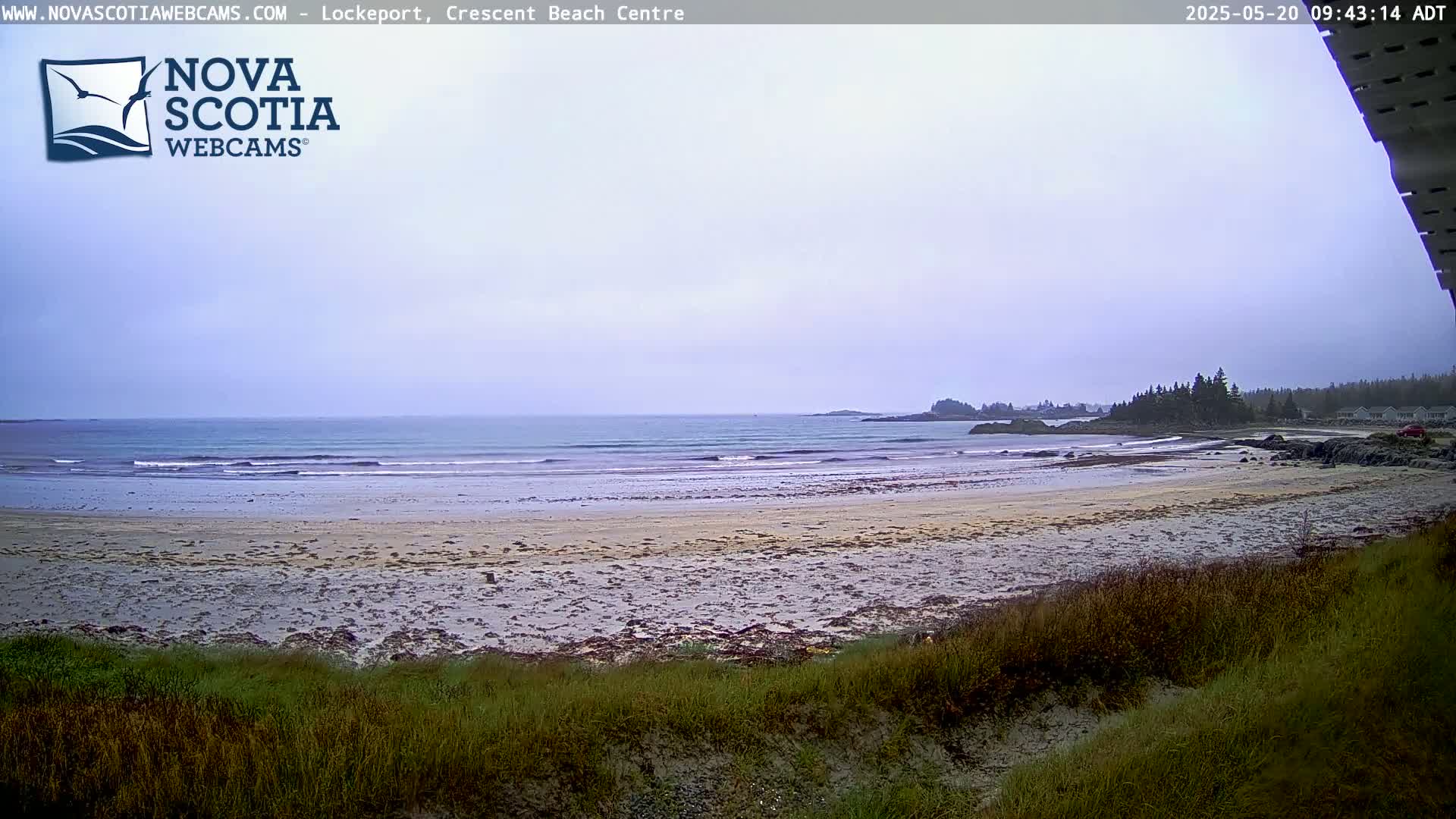 A sandy beach with small waves and a calm ocean under an overcast sky is viewed from behind a grassy dune.