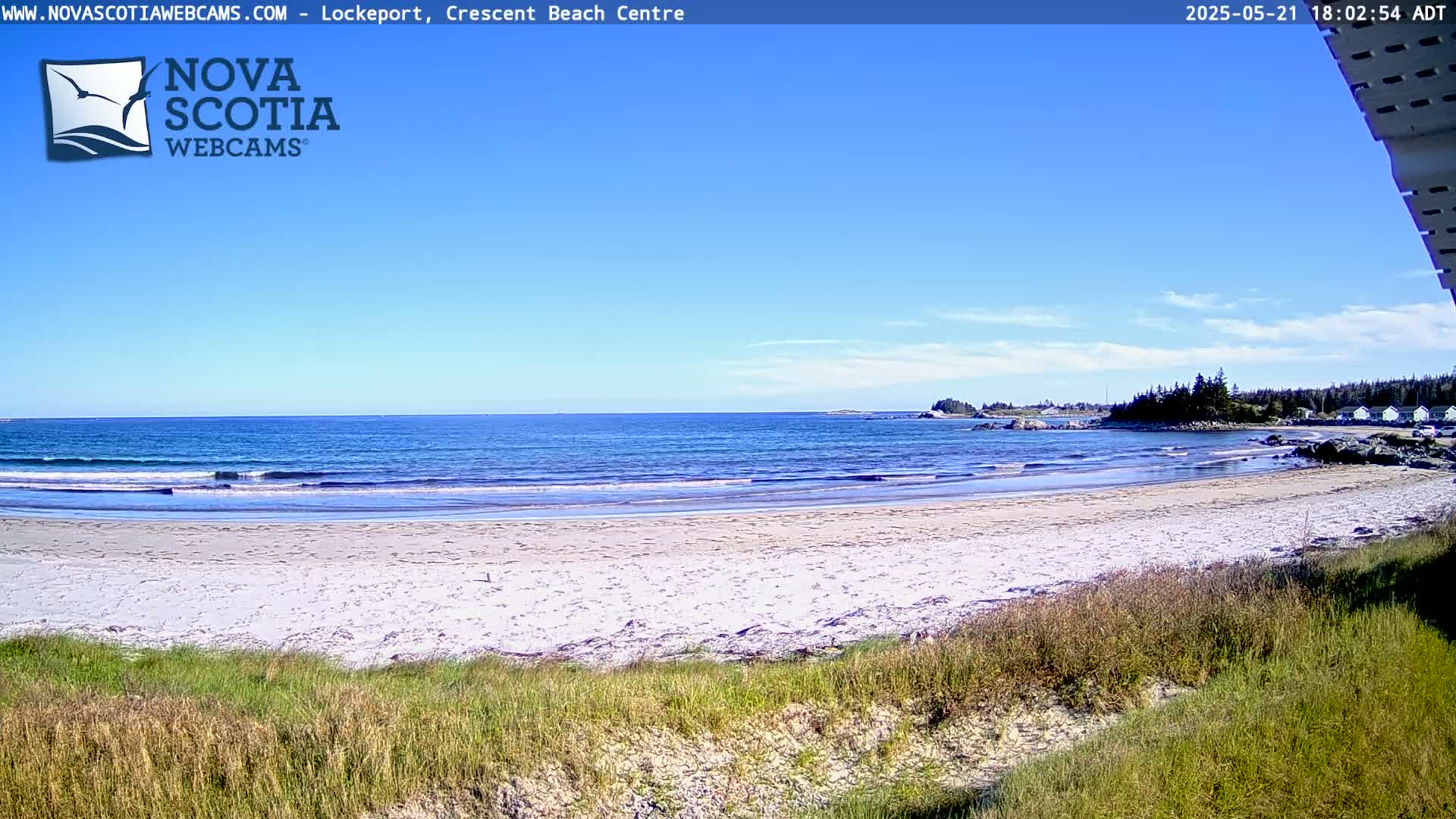 A sandy beach with gentle waves stretches along a calm ocean under a clear blue sky, with some vegetation in the foreground.