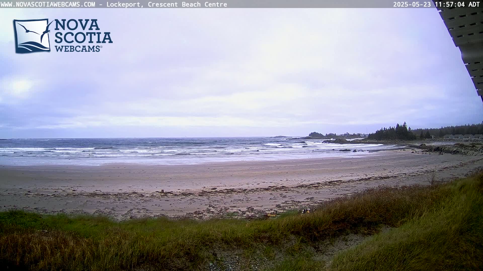 A sandy beach with small waves under an overcast sky is seen from behind some low-lying vegetation.