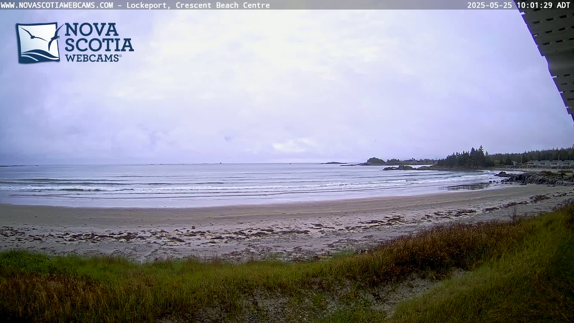 A sandy beach with small waves under an overcast sky is viewed from a slightly elevated position, showing green vegetation in the foreground.