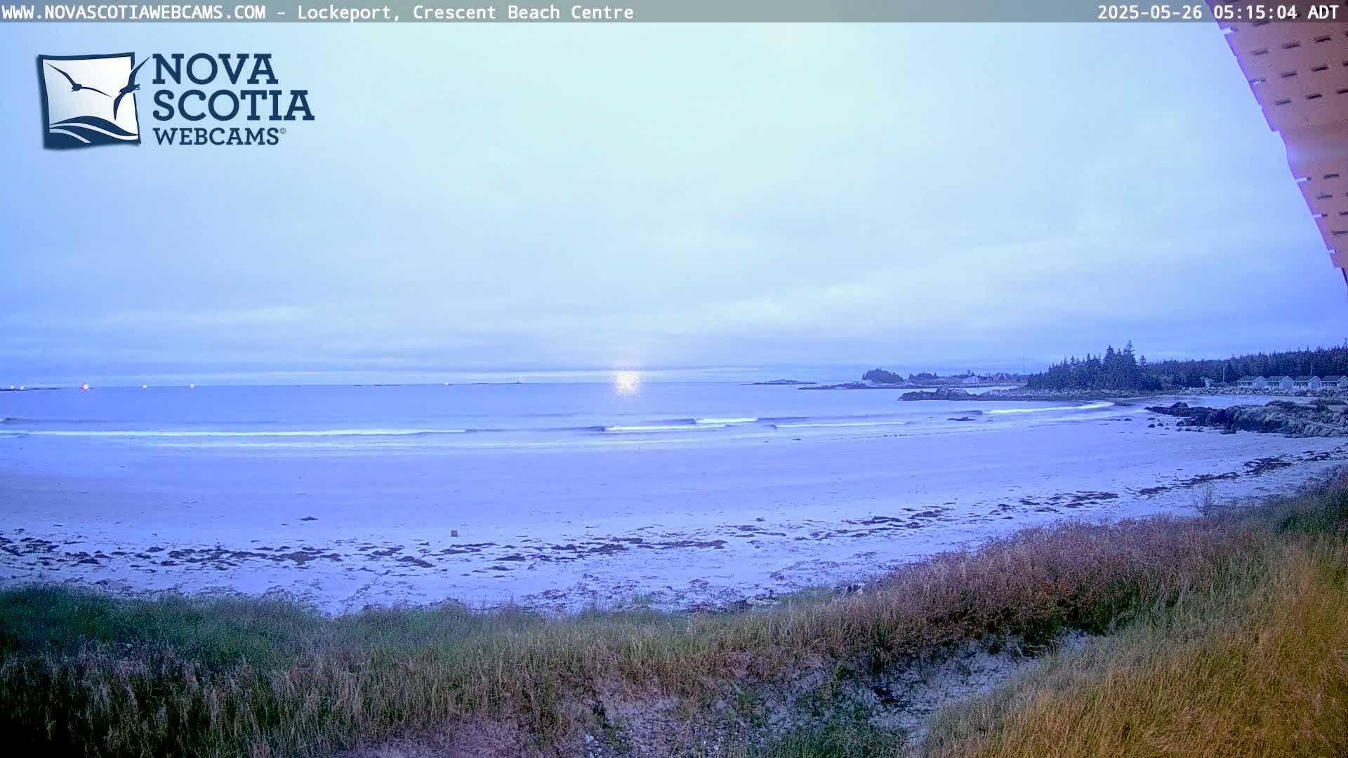 A sandy beach with gentle waves stretches towards a calm ocean under a pale, cloudy sky.