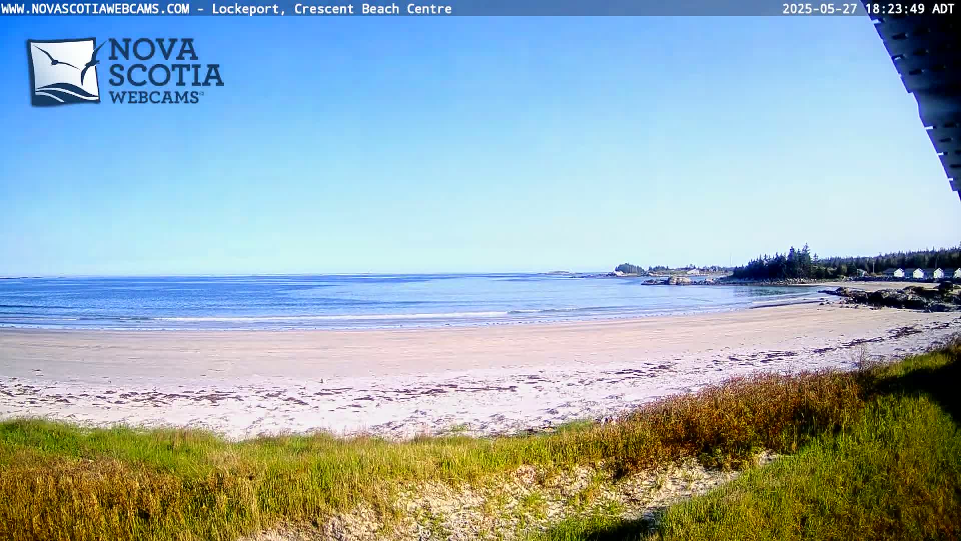 A sandy beach stretches along a calm ocean under a clear blue sky, with green vegetation in the foreground and a distant shoreline visible.