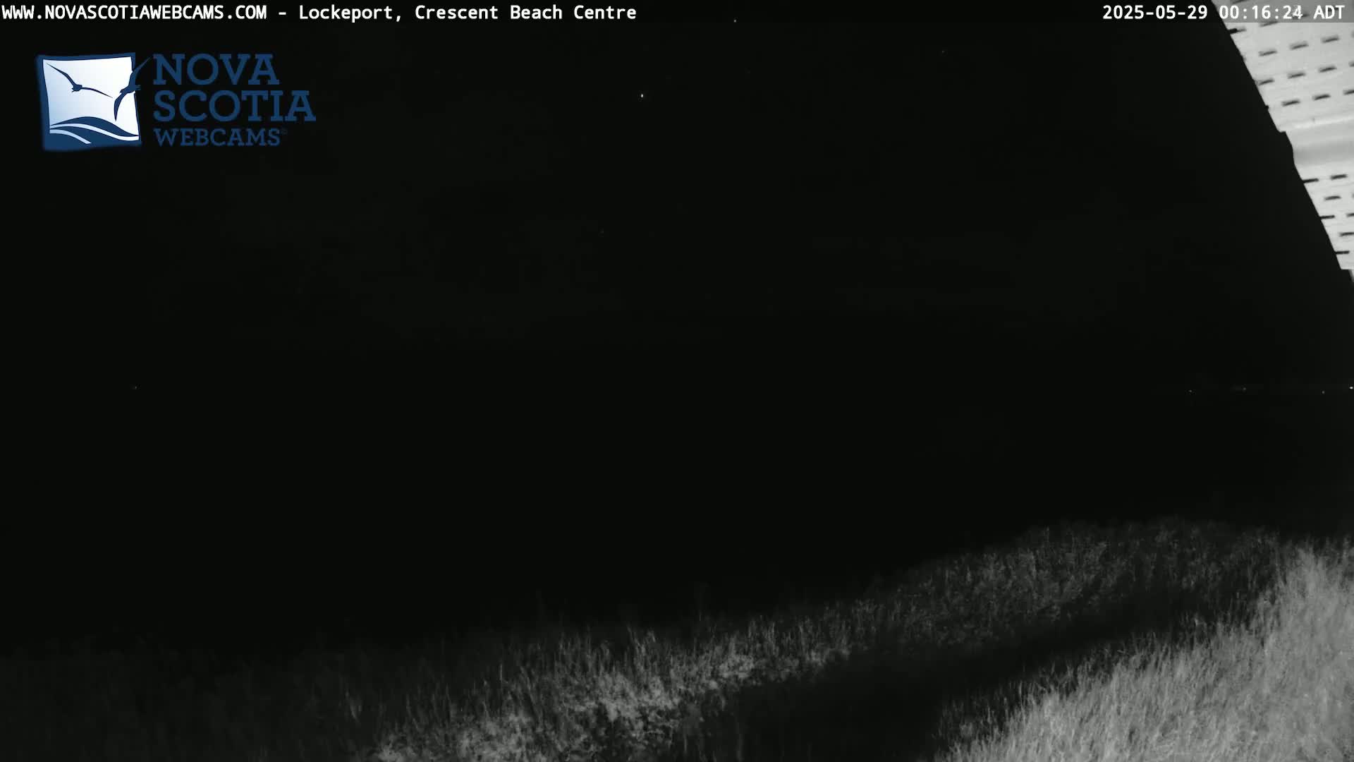 A nighttime view of dark land covered with low vegetation under a clear, dark sky.