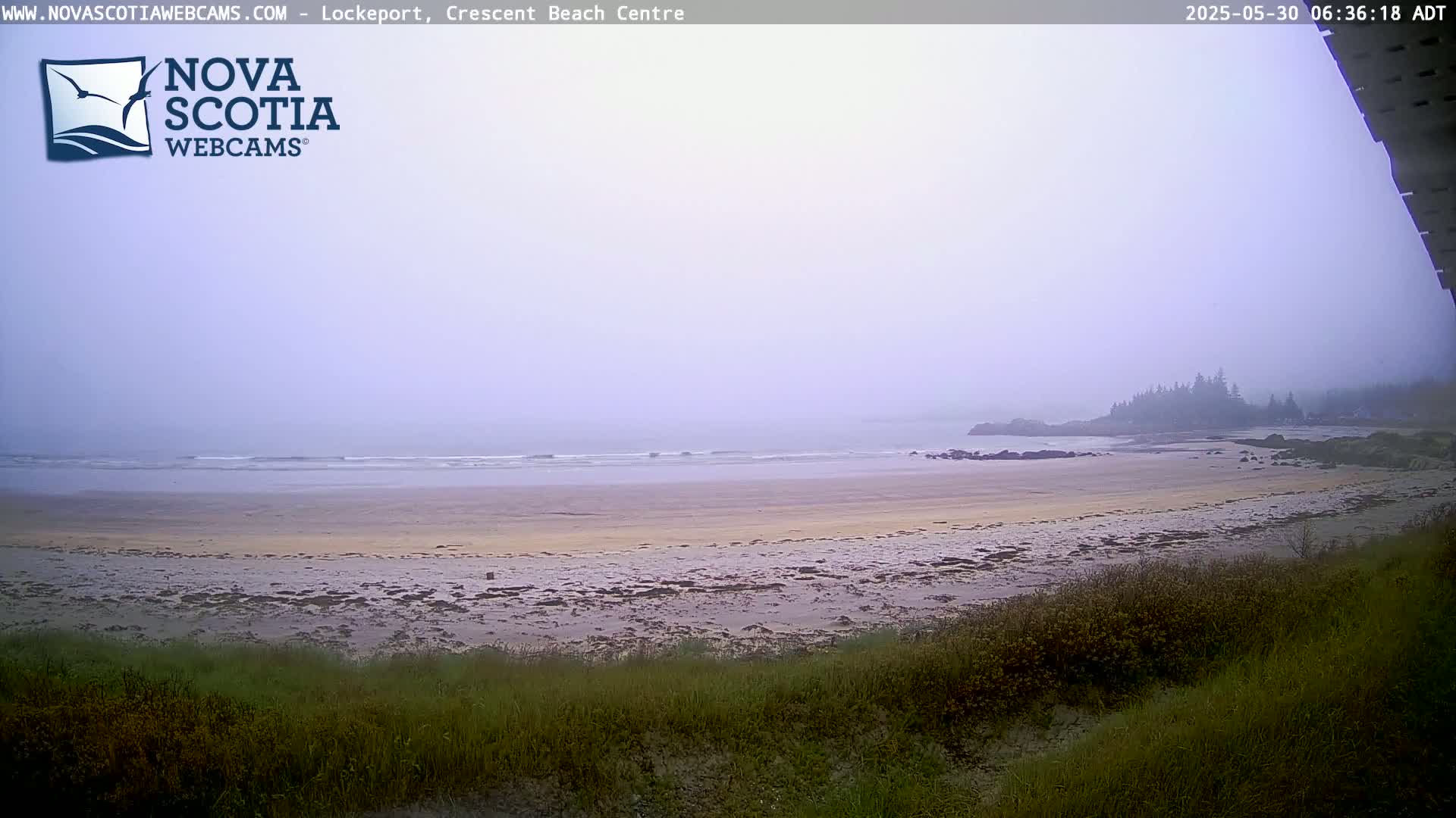 A foggy, sandy beach stretches to a calm ocean under an overcast sky, with a small, distant landmass visible.