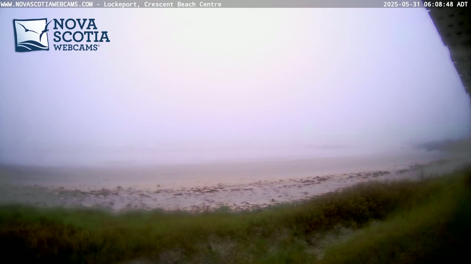 A foggy beach scene is viewed from a slight elevation, showing a sandy shore covered in low-lying vegetation.