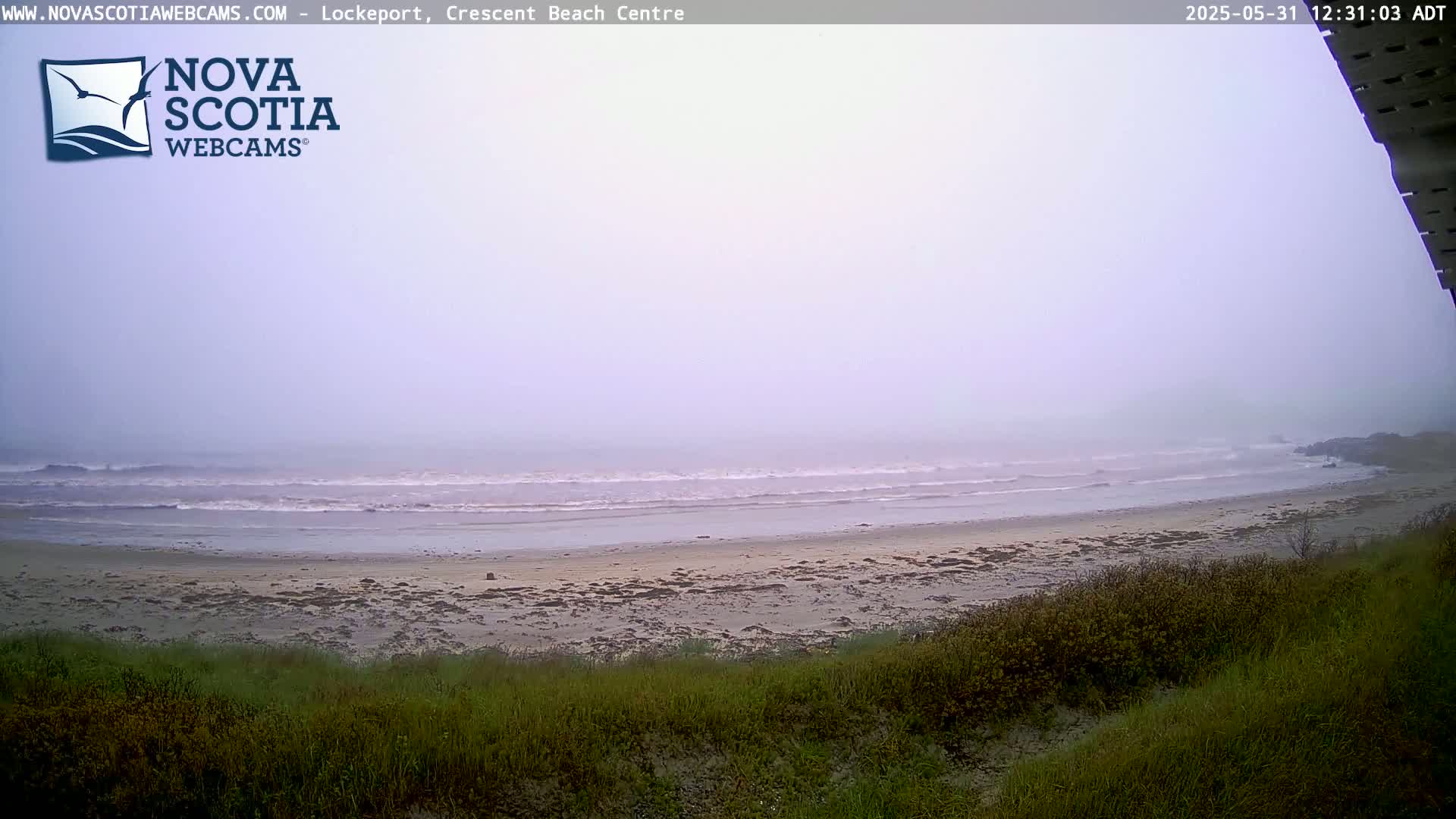 A foggy beach scene shows a sandy shore with small waves gently lapping, viewed from a slightly elevated position amidst low-lying vegetation.